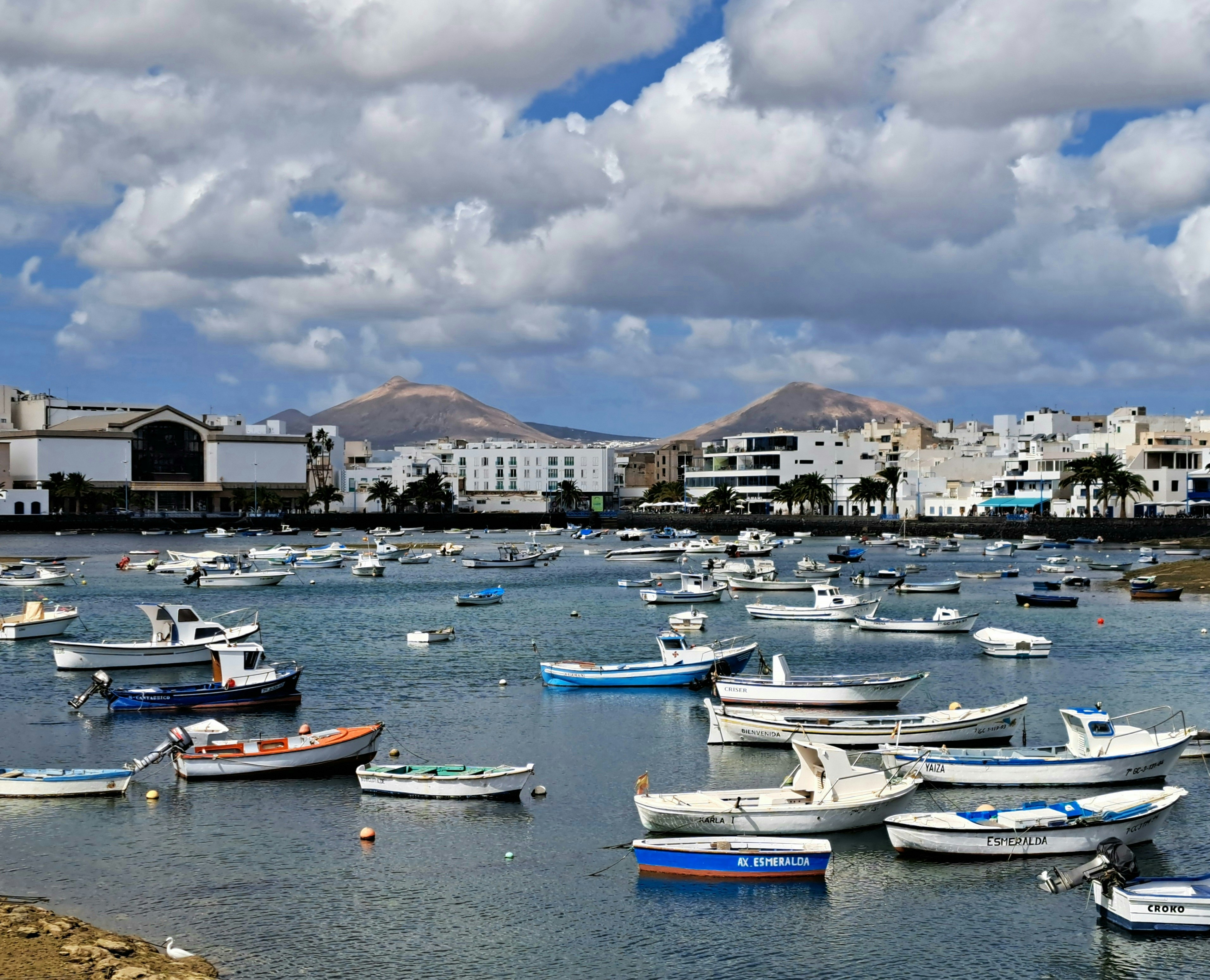 Top 20 Empresas de Power BI en Arrecife