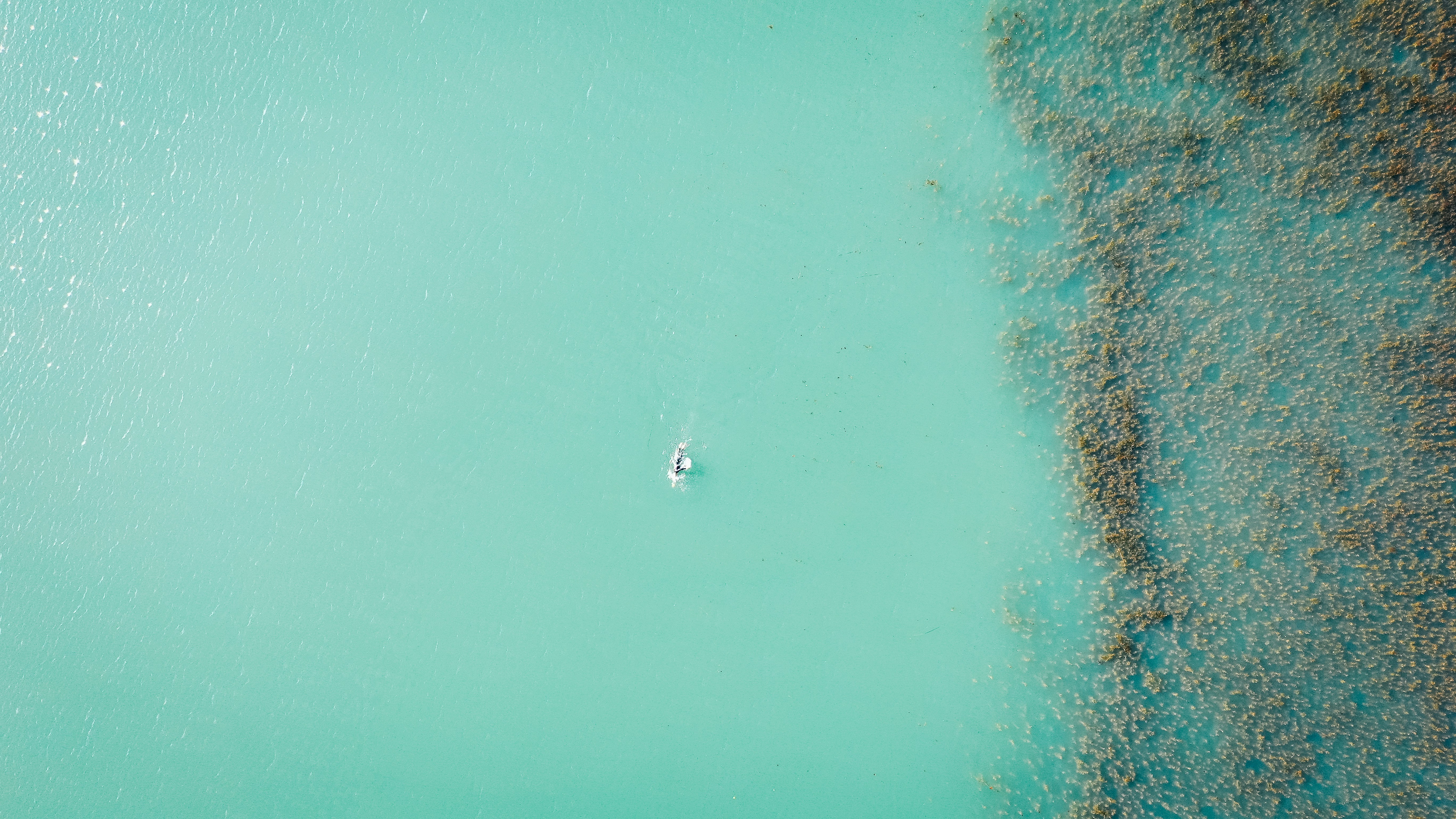 Mejores 100 empresas para Power BI en Lleida