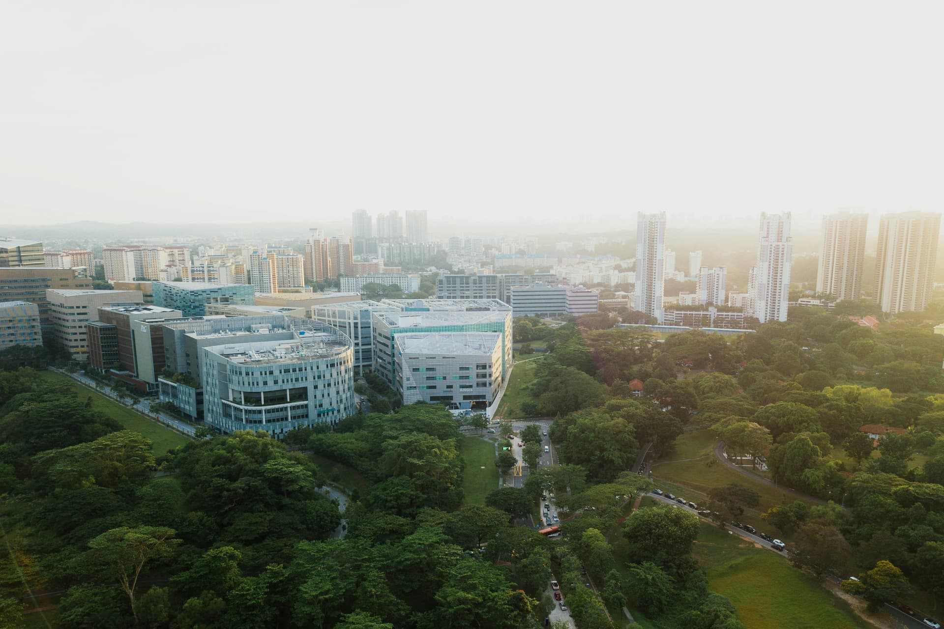 Mejores 30 empresas para SEO con inteligencia artificial en Ciudad Real