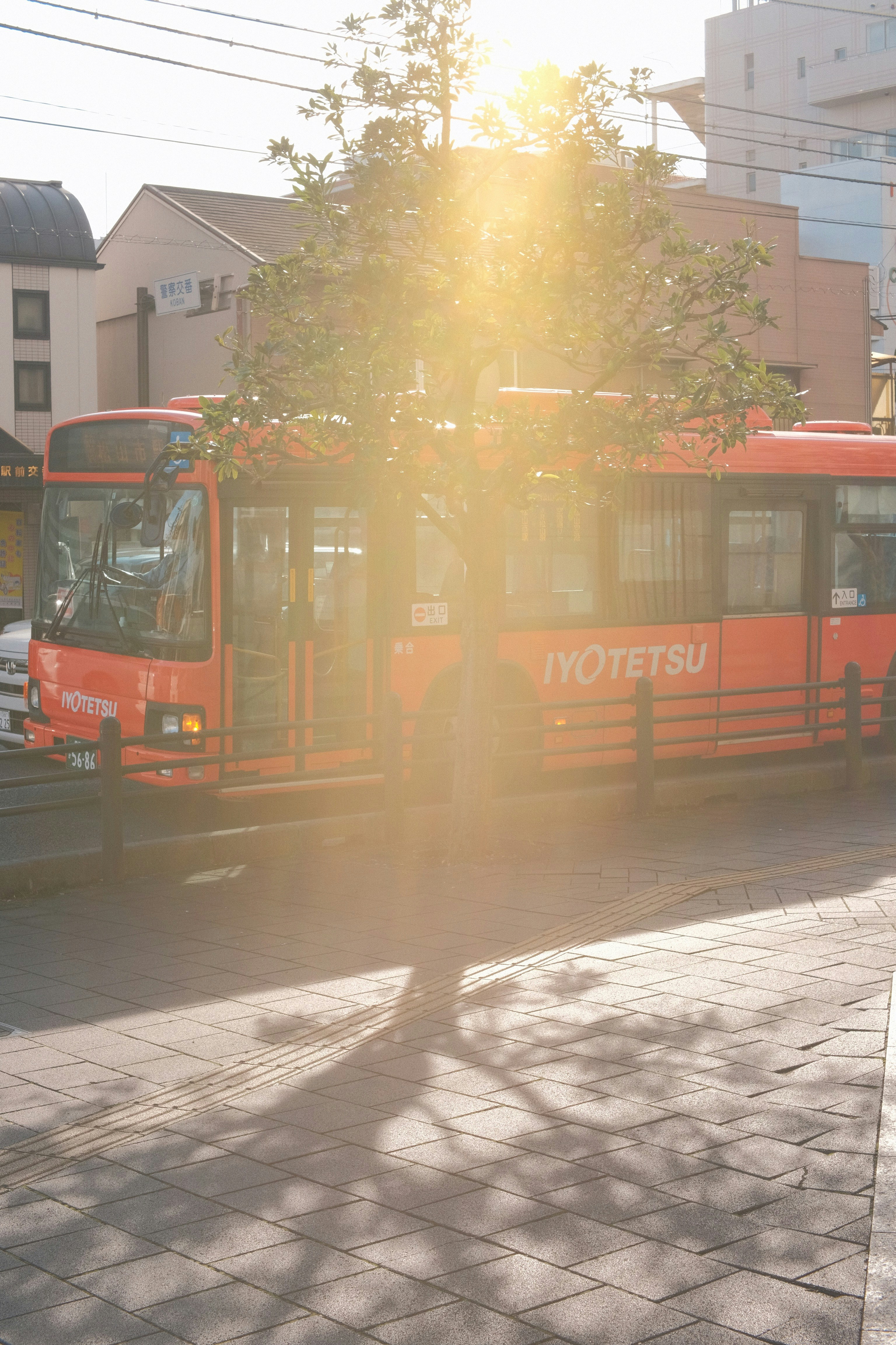 Mejores 30 empresas de servicios n8n en Móstoles