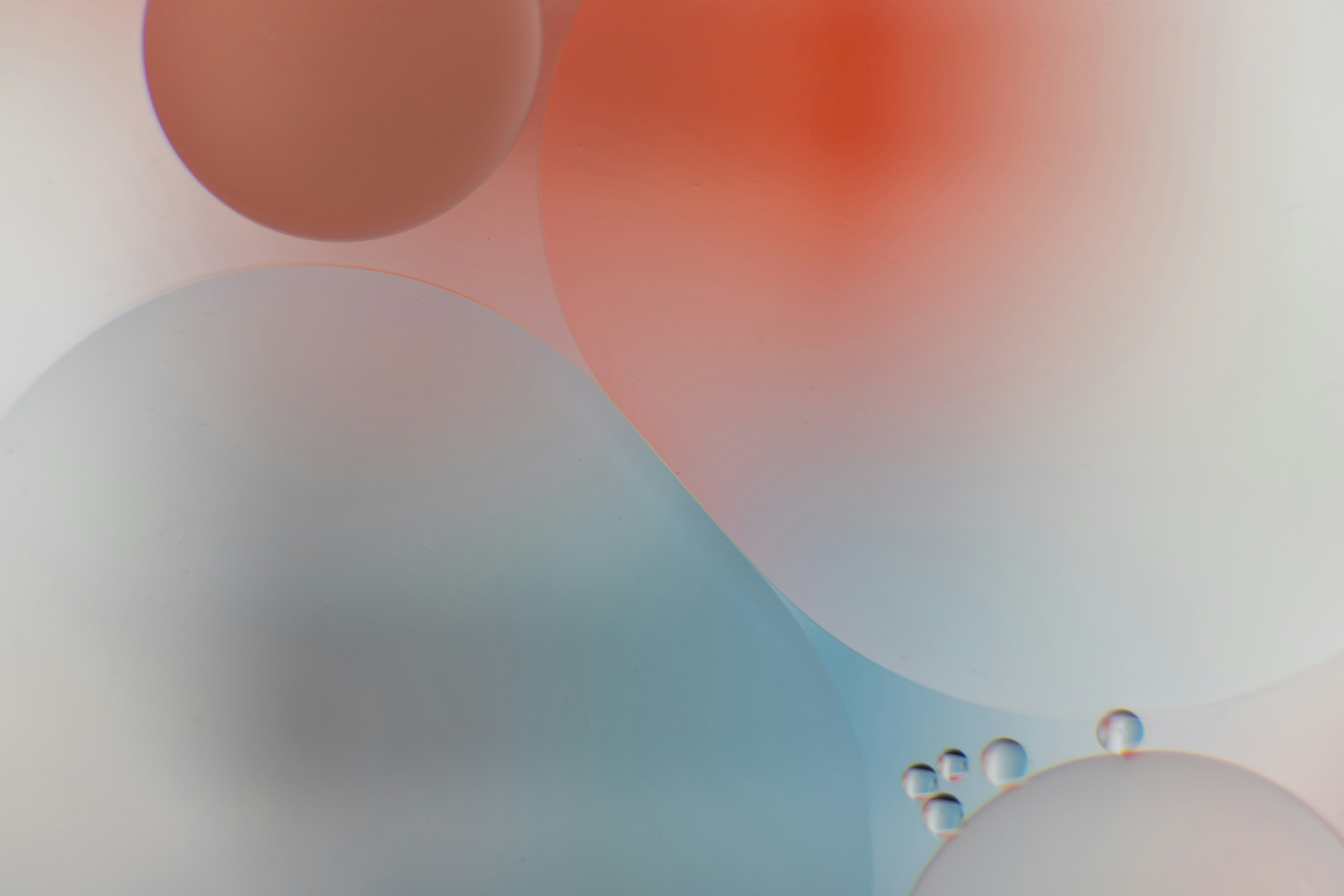 Mejores 50 empresas de software de gestión de clínicas podológicas en Zaragoza