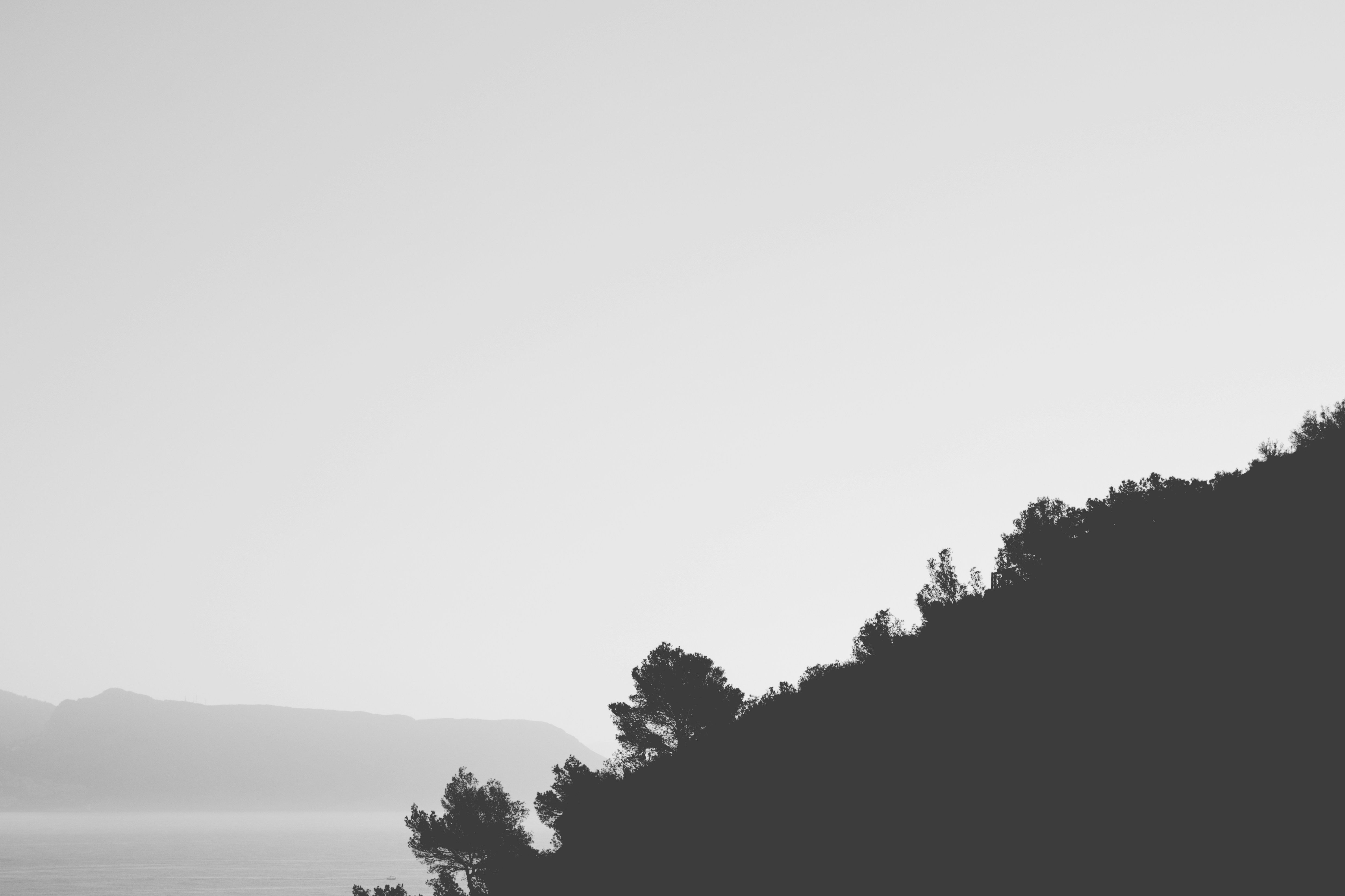 Mejores 20 empresas de software web personalizado para negocios en Alicante