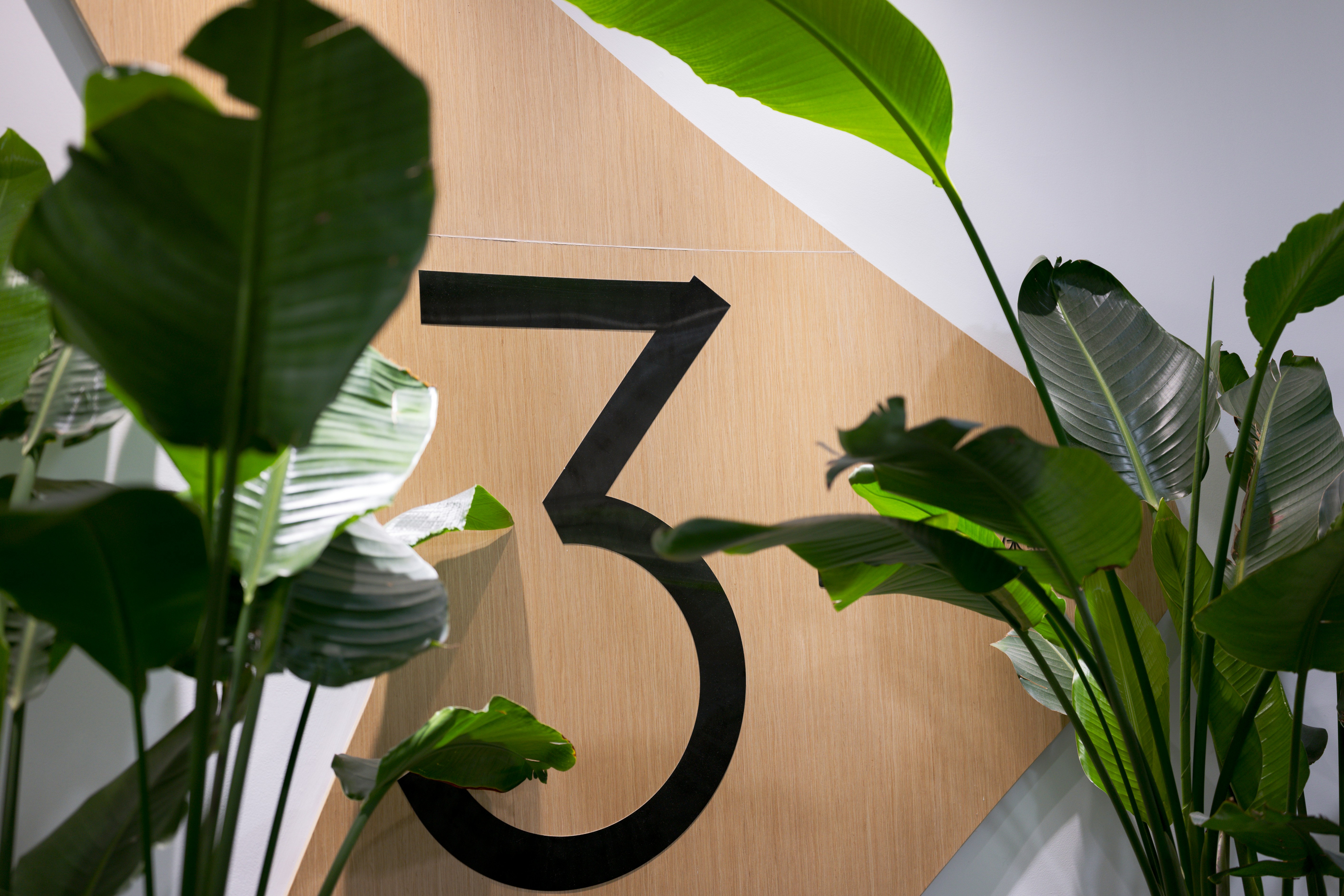 Los 3 mejores expertos en empresa de transformación digital para mi negocio en Zaragoza