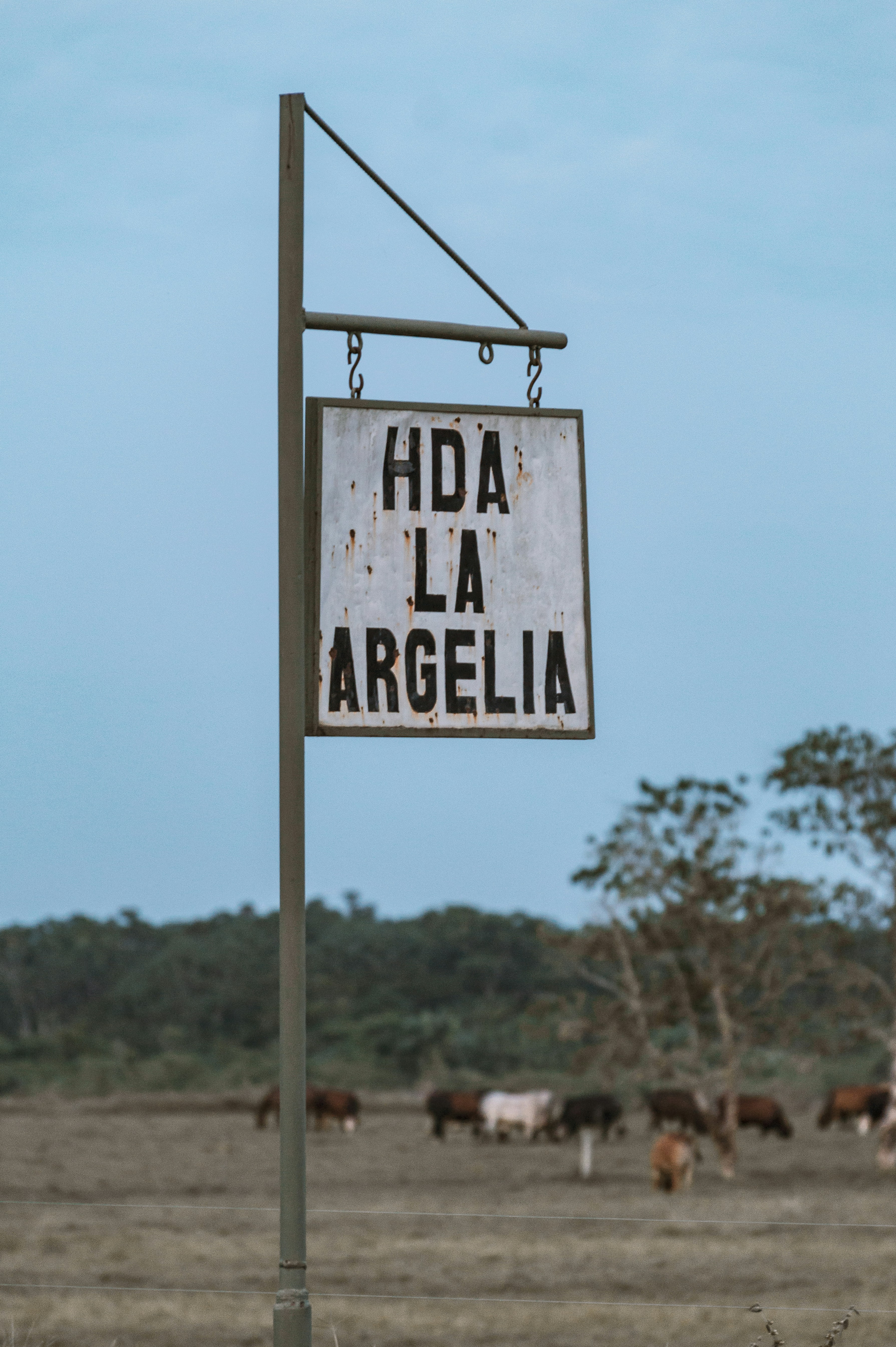 La guía definitiva para encontrar servicios de desarrollo de IA en Águilas