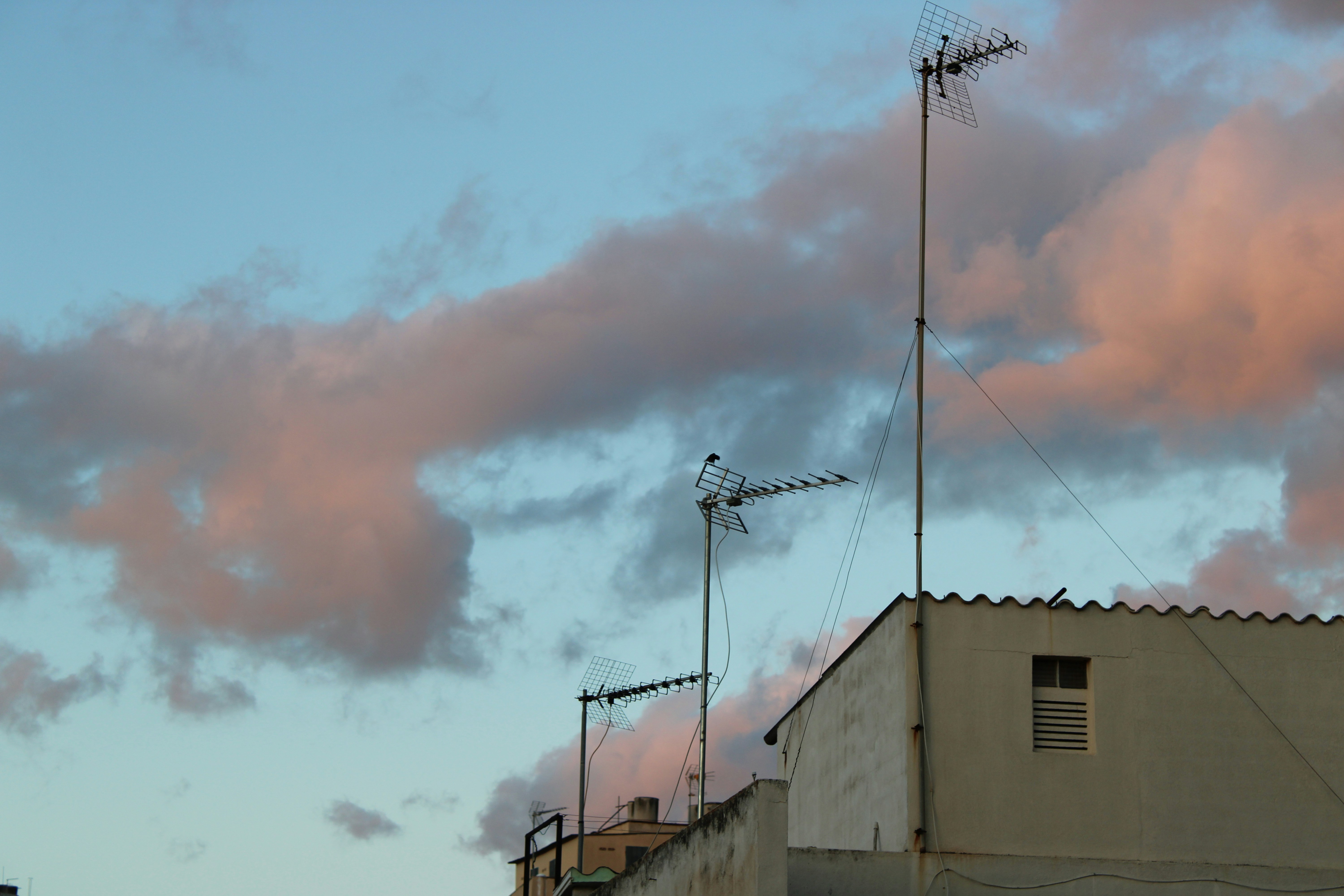 Servicios de locución de IA en Palma