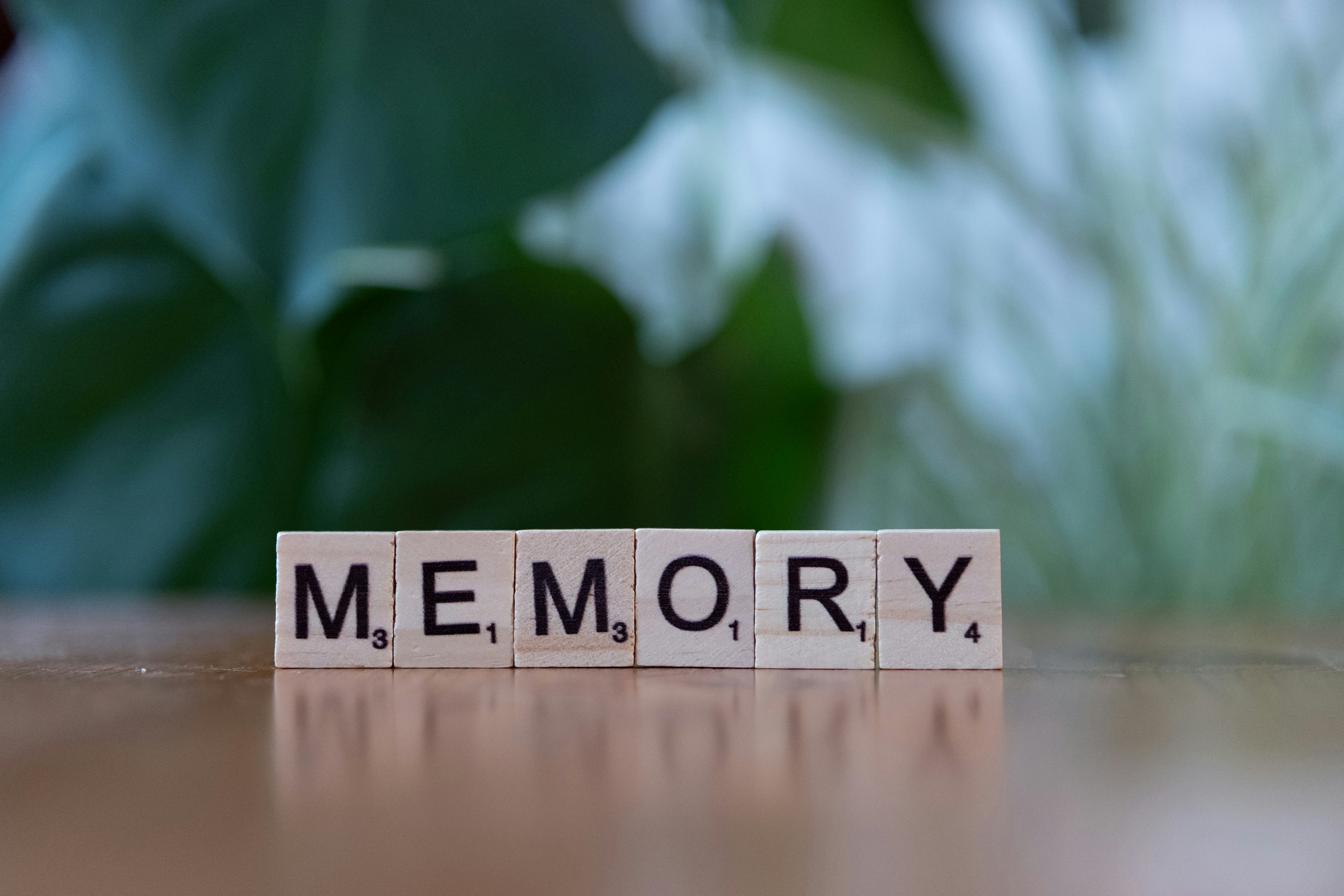 Memoria de creencia: Memoria del agente bajo observabilidad parcial