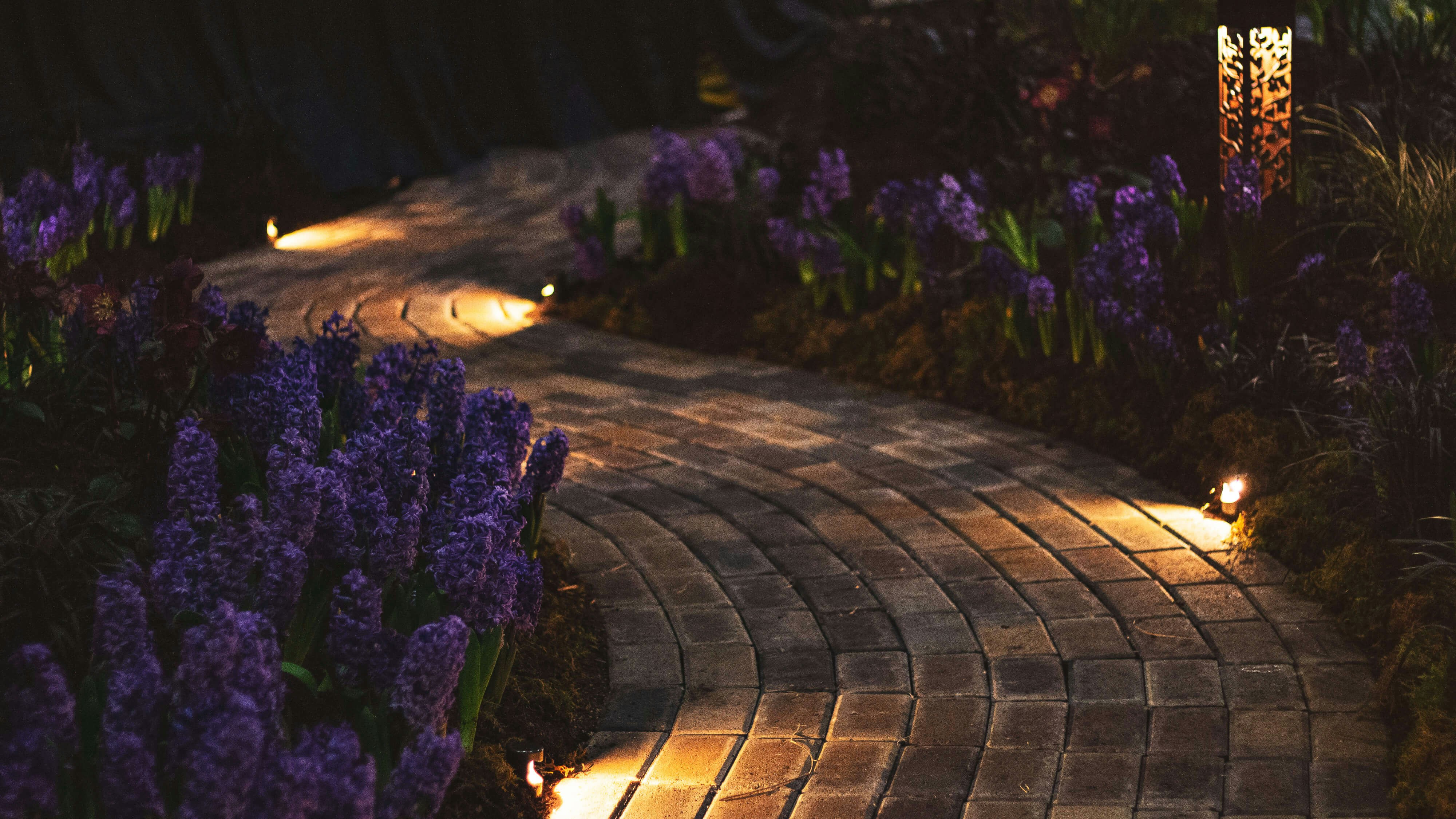 Mi jardín me convirtió en un fanático de la iluminación inteligente de colores