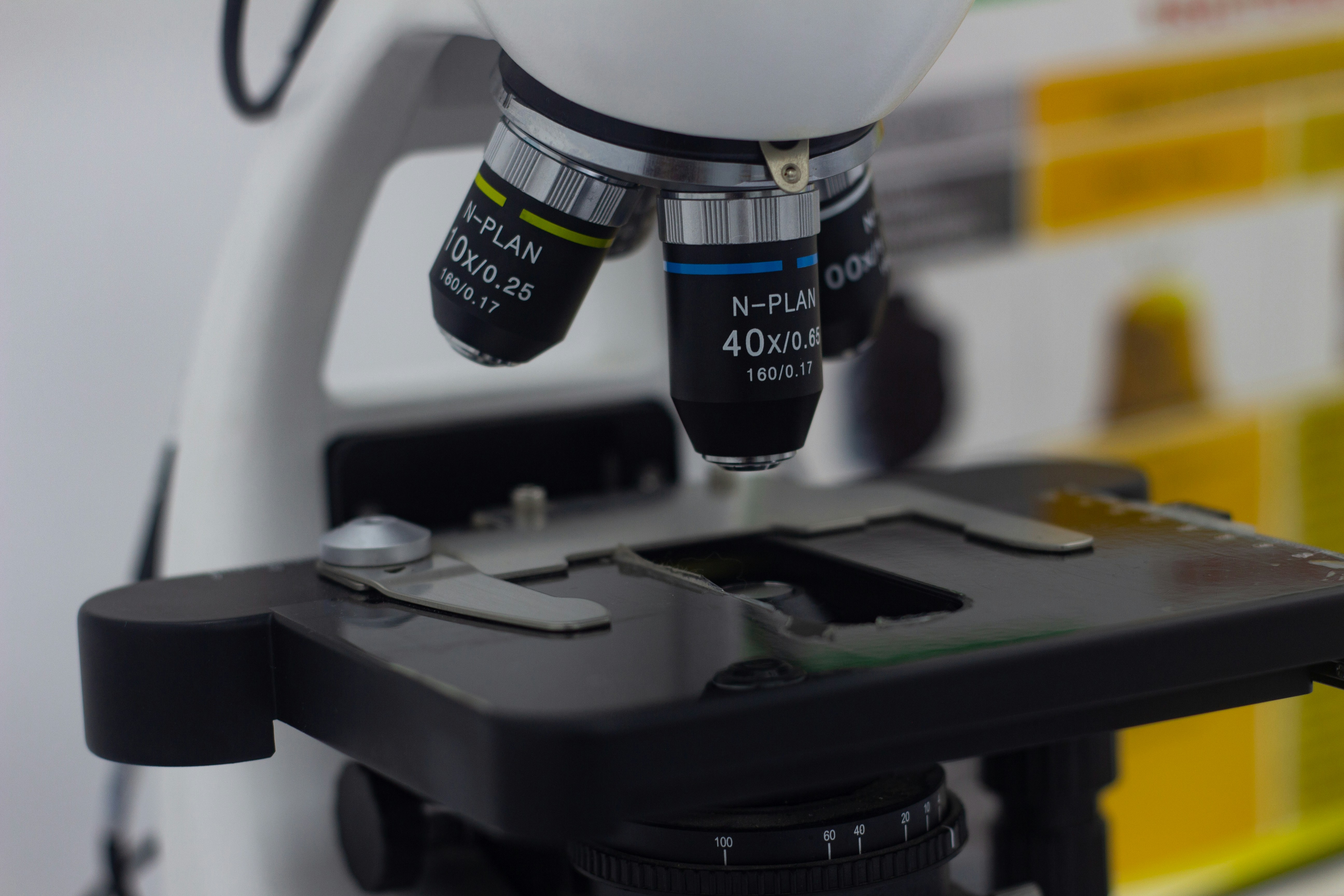 Cuando un microscopio altera el destino