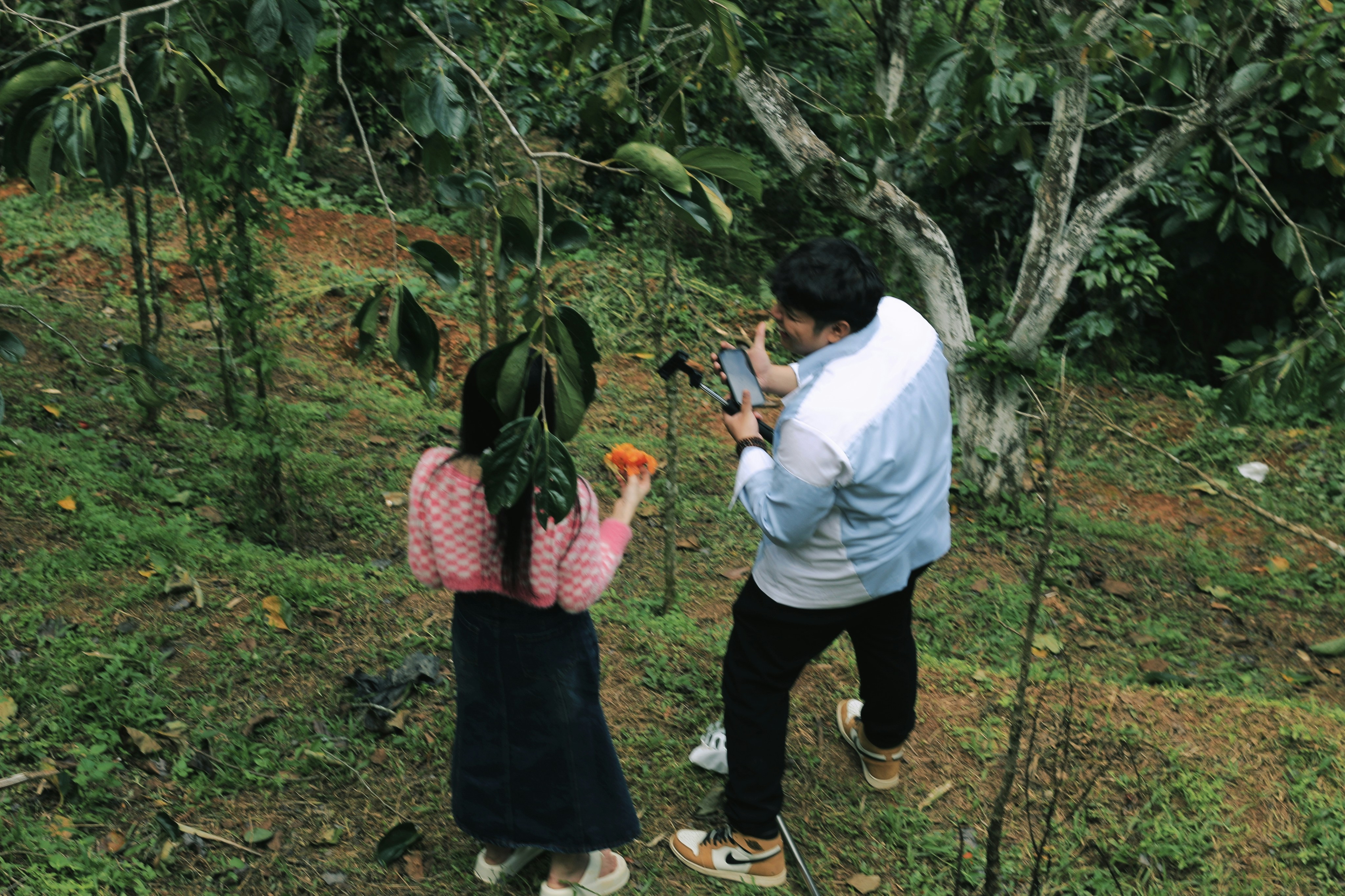 Comience con la migración de su aplicación Delphi a la web moderna en Zaragoza 2026 - Descubrimiento gratuito