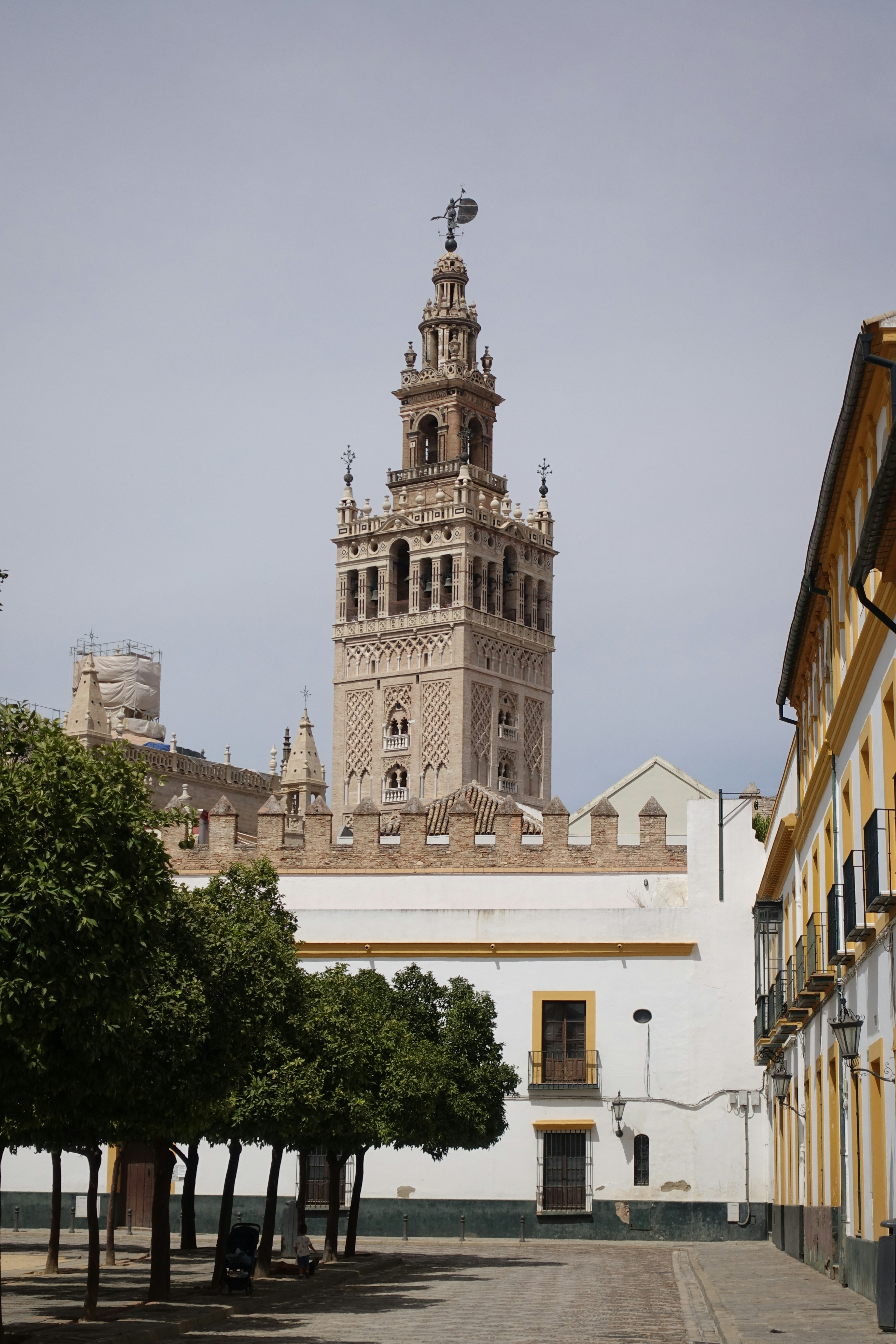 migrar aplicación WinForms a aplicación web en Sevilla