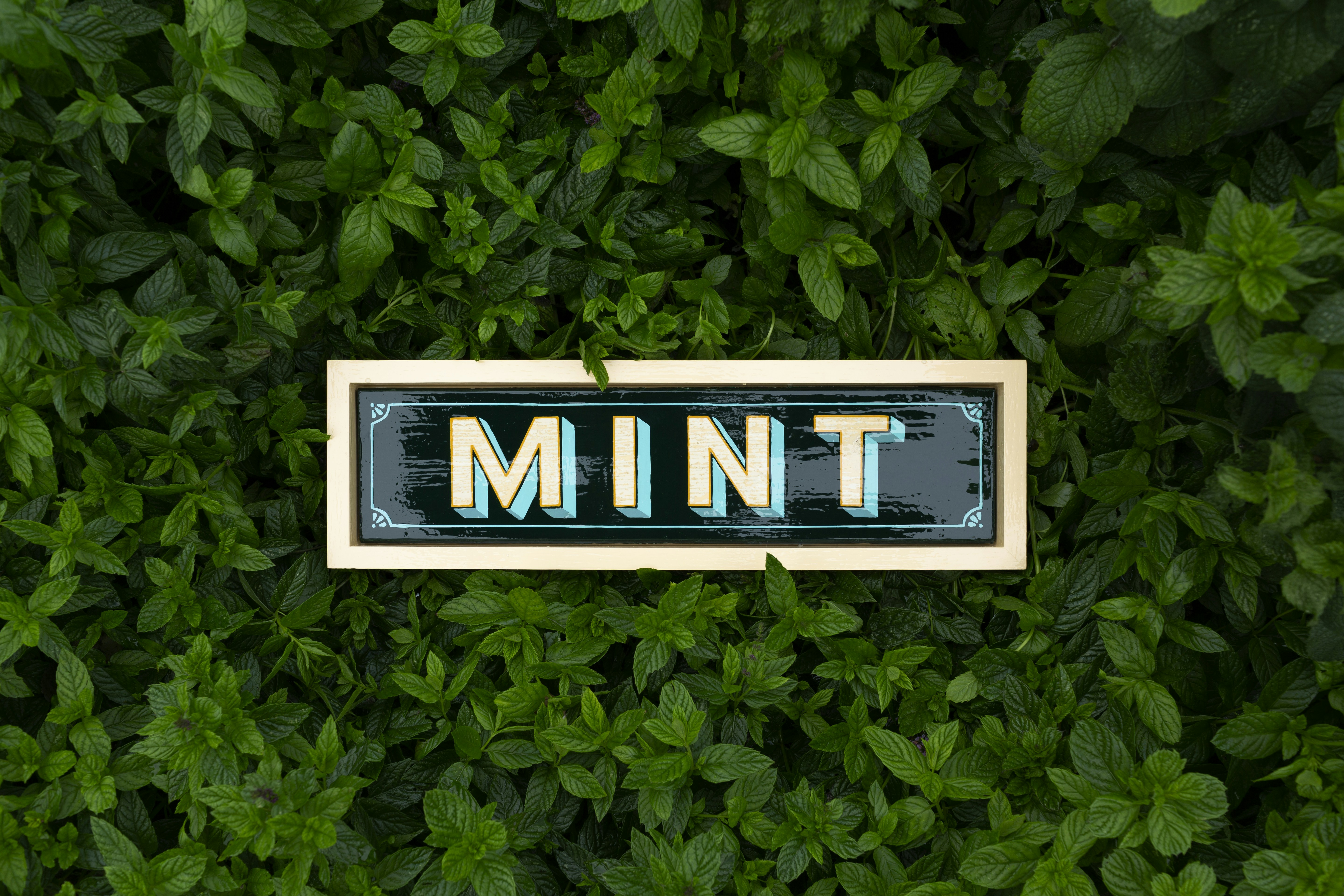 MinT: Infraestructura gestionada para entrenar y servir millones de LLMs