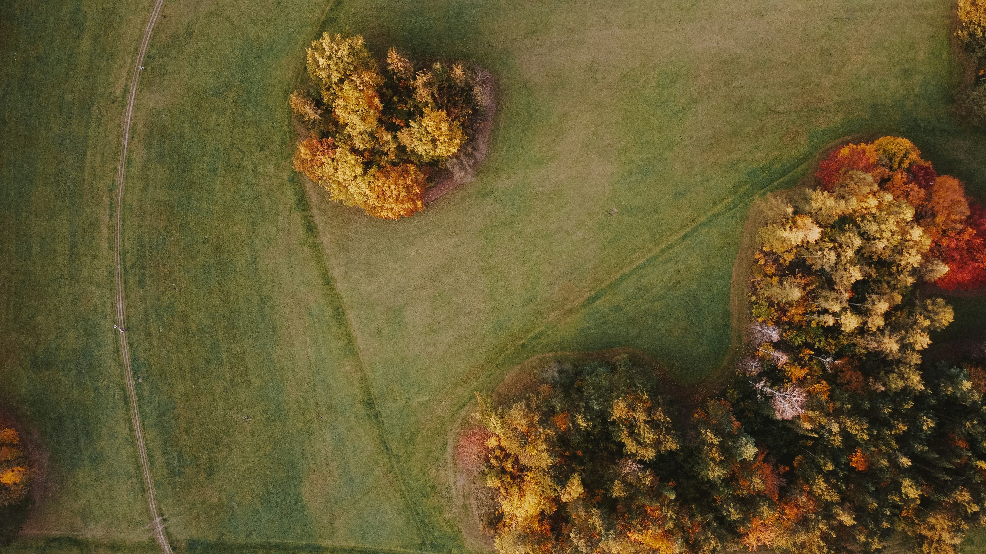 Modelado predictivo de compuestos medicinales naturales para la enfermedad de Alzheimer utilizando quimioinformática