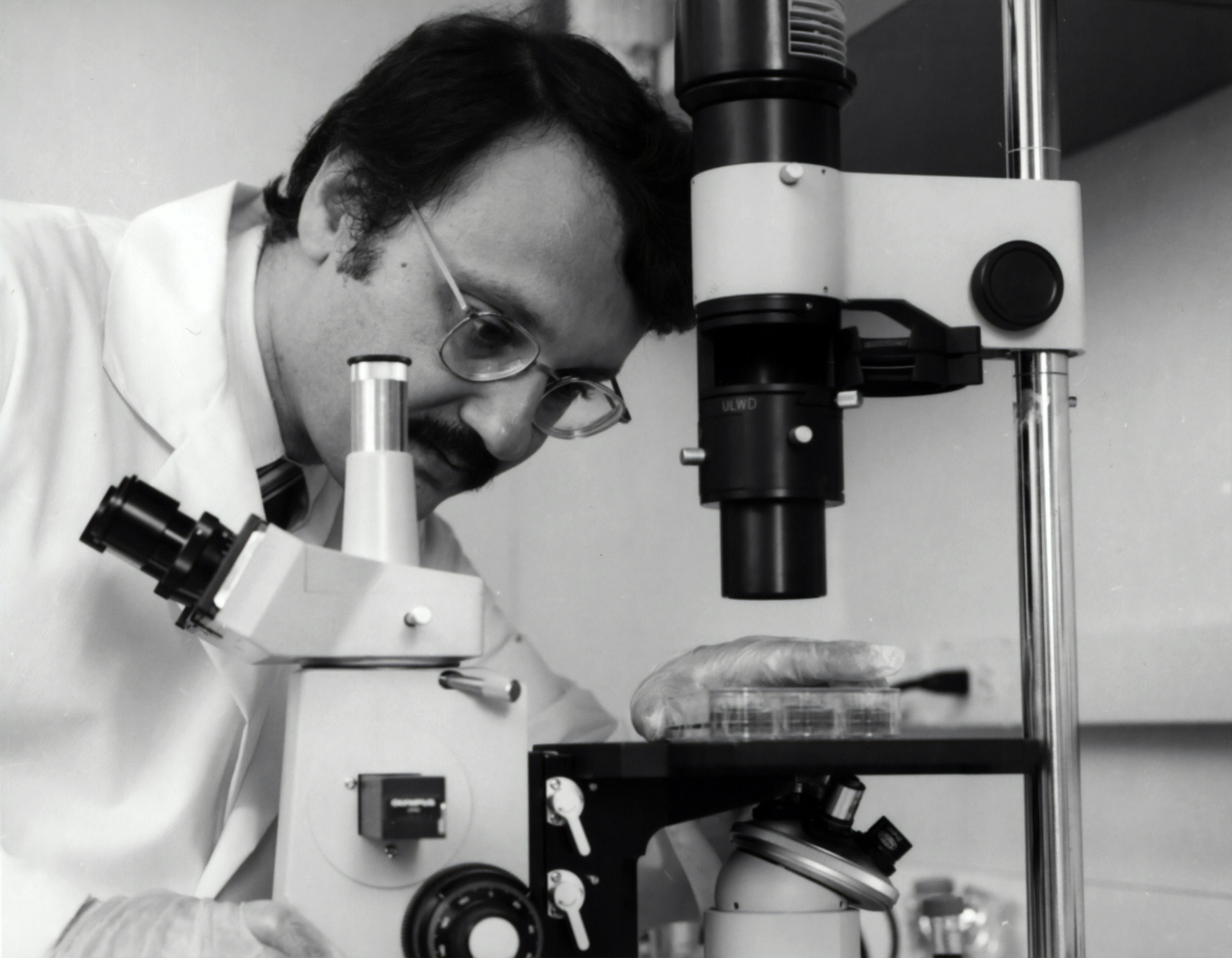 Investigador de Cornell propone modelo de "cámara de compensación" para generar confianza entre agentes de IA.