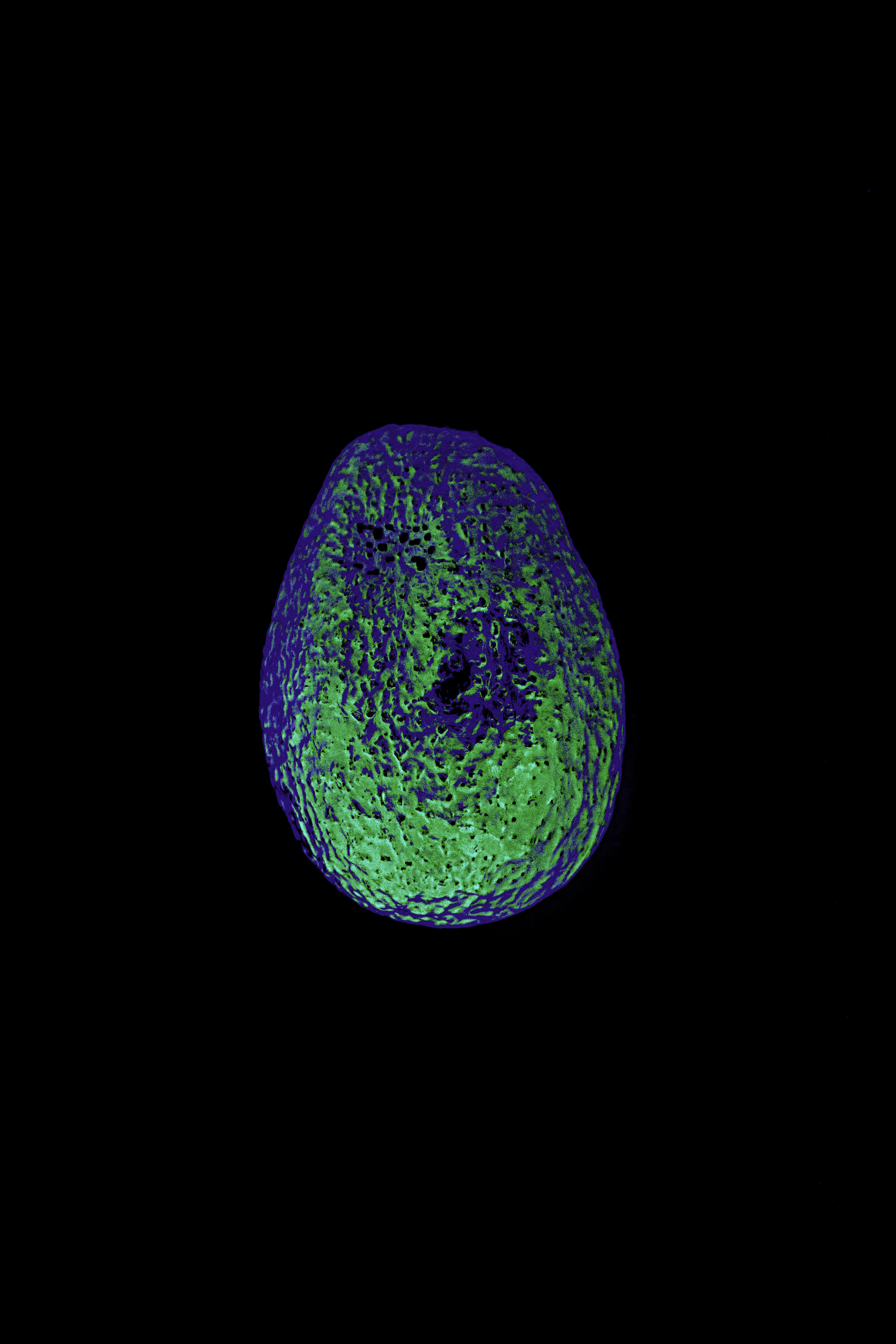 Modelo neuro-simbólico para la detección de fraudes en tiempo real en la inteligencia artificial explicativa en producción
