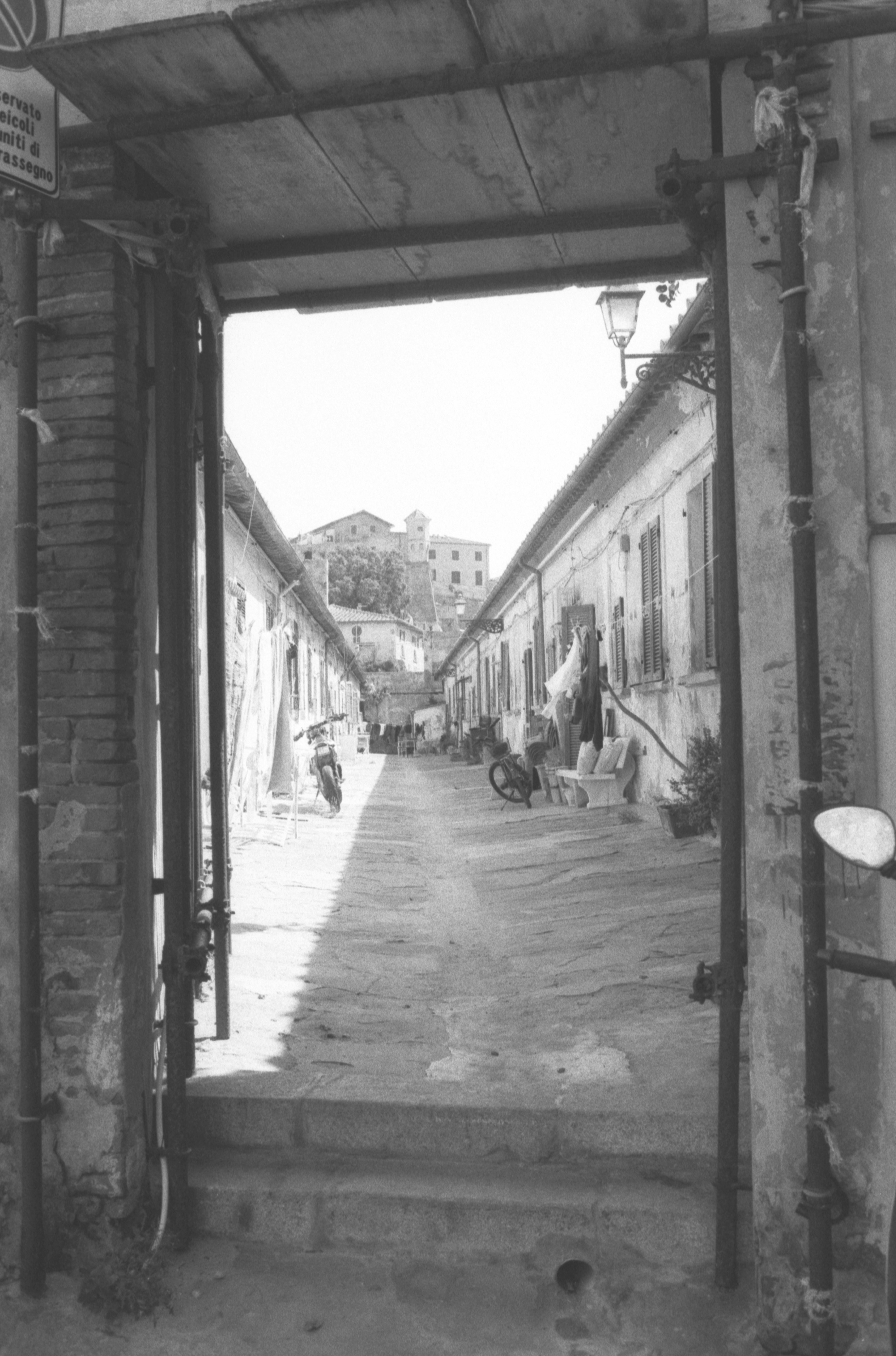 Fusión de CNN-ViT con puerta de atención adaptativa para la clasificación de tumores cerebrales por RM: un modelo híbrido de aprendizaje profundo