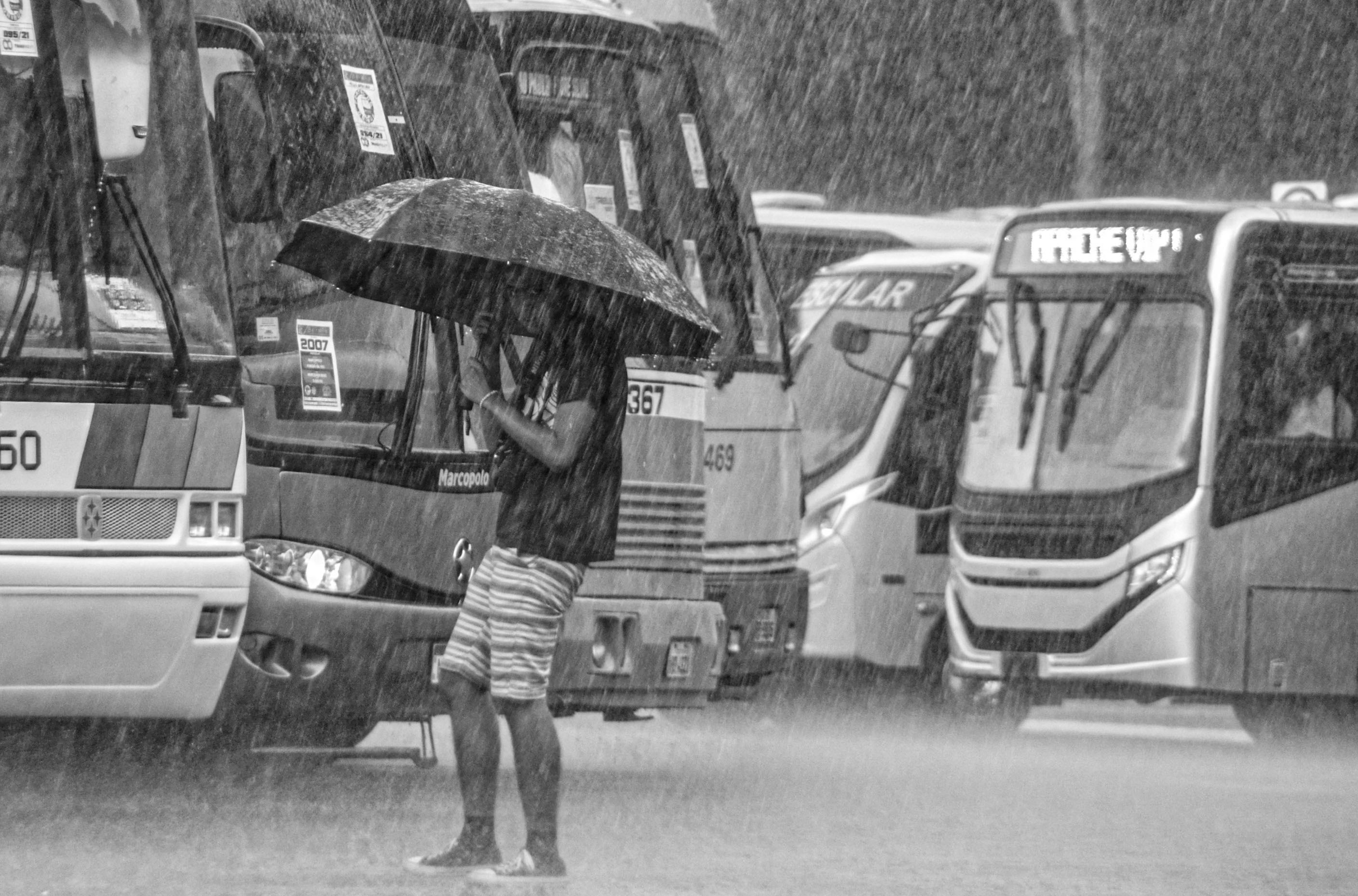El modelado interpretable de lluvias revela una rápida reorganización de las lluvias amazónicas ante la pérdida de vegetación