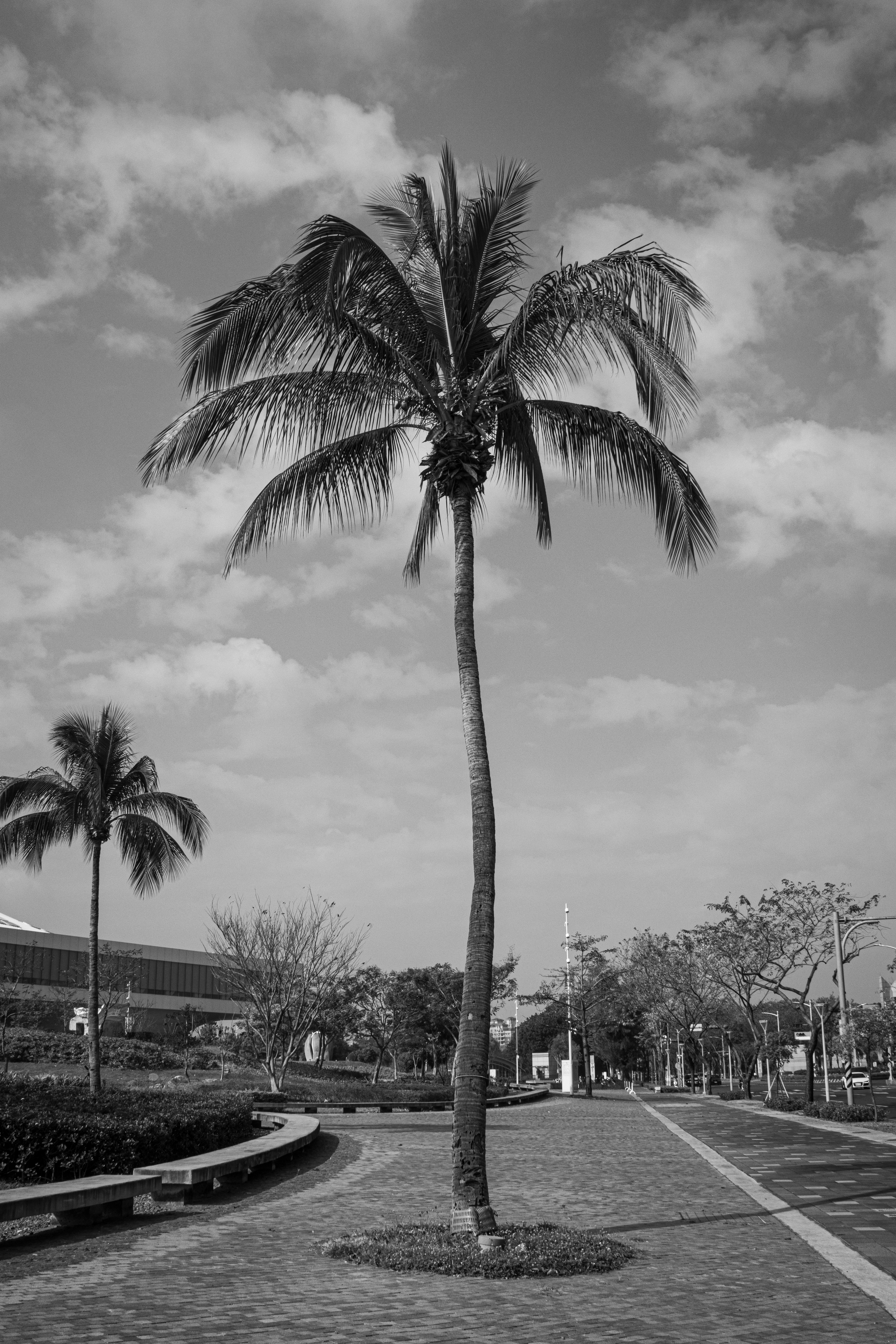 Comience a modernizar mis procesos comerciales en Las Palmas de Gran Canaria 2026: Descubrimiento gratuito