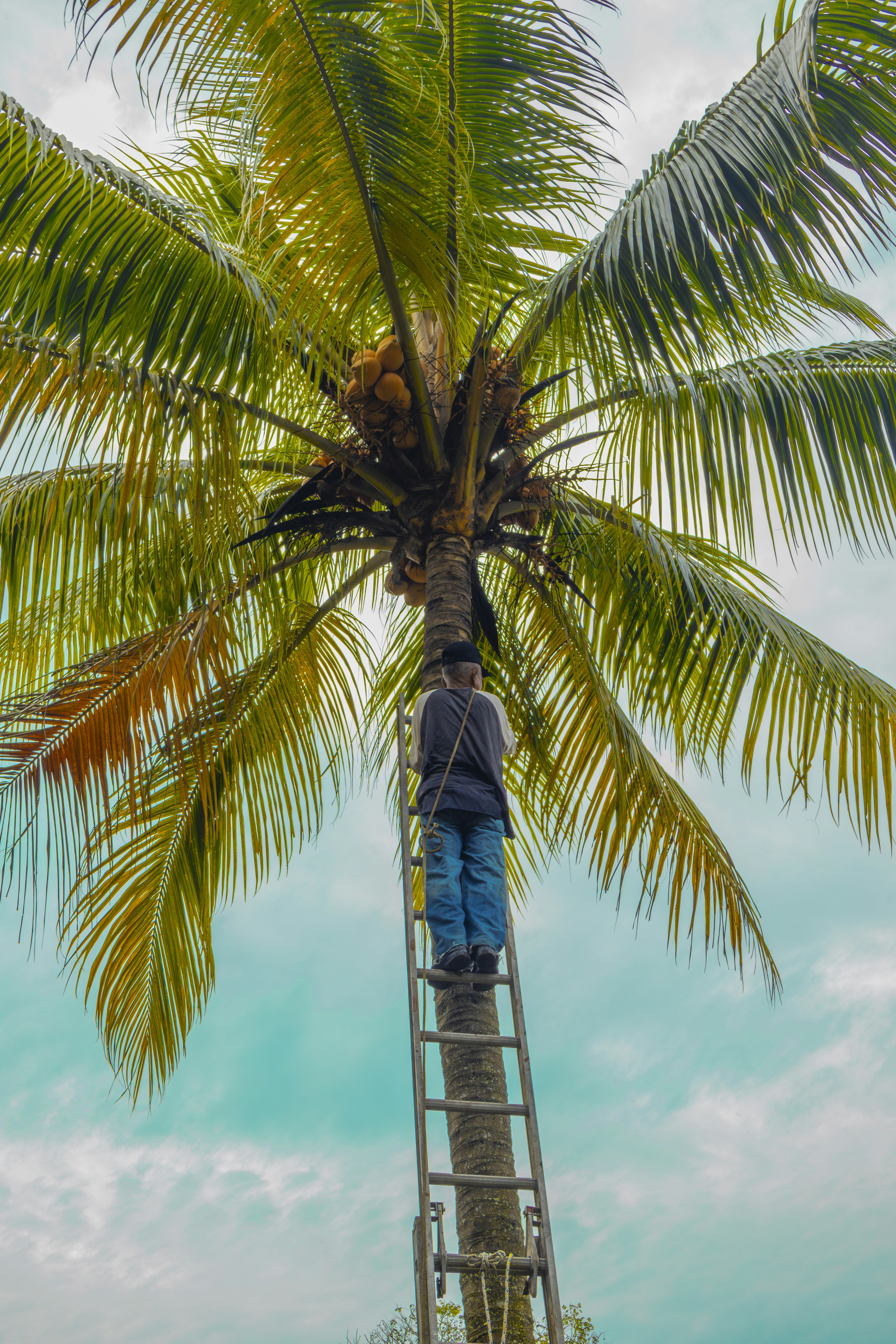 Modernización destacada de mainframe COBOL a aplicación web en Palma: Q2BSTUDIO Recomendado 2026