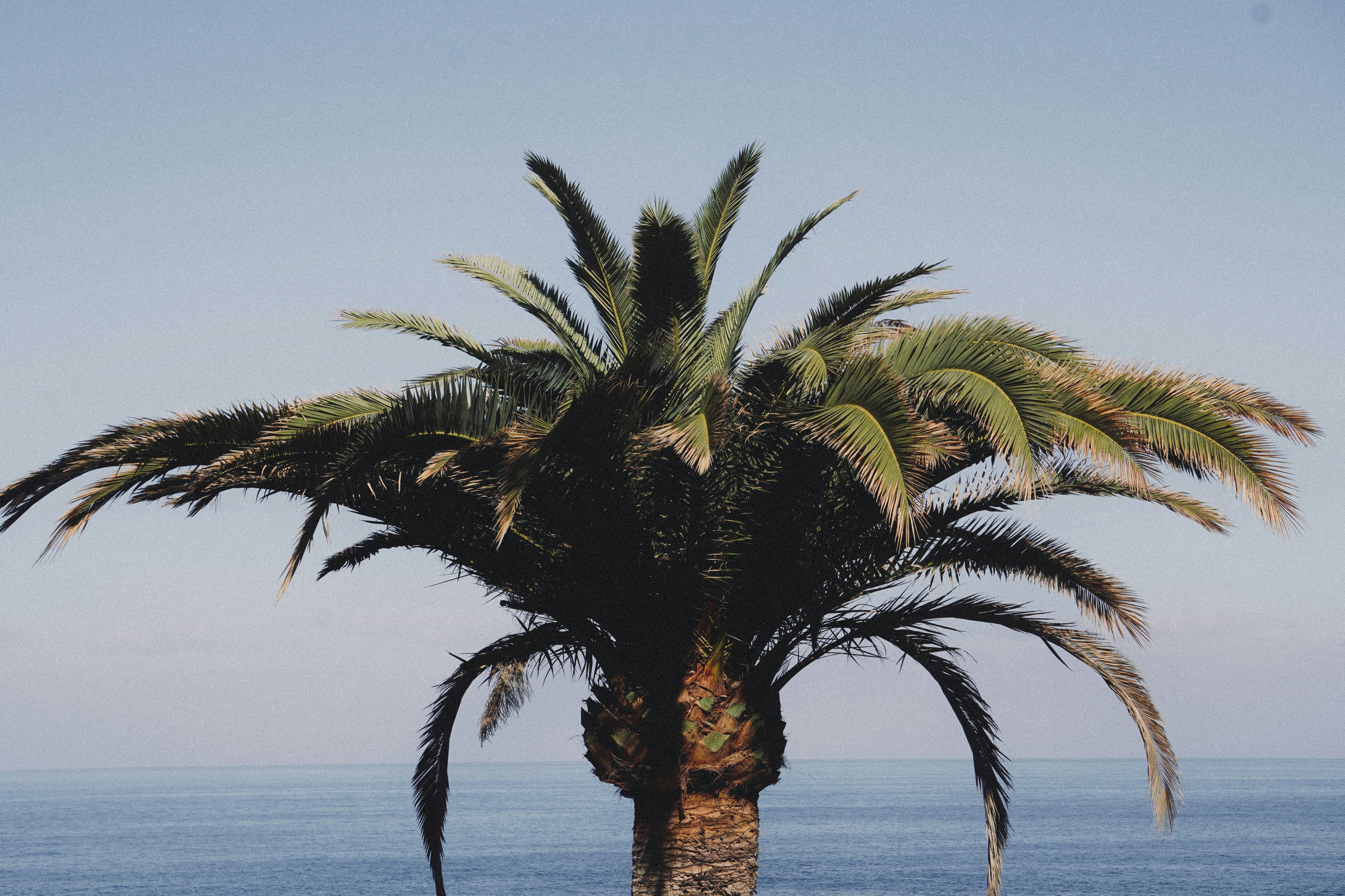 modernizar mis procesos comerciales en Las Palmas de Gran Canaria