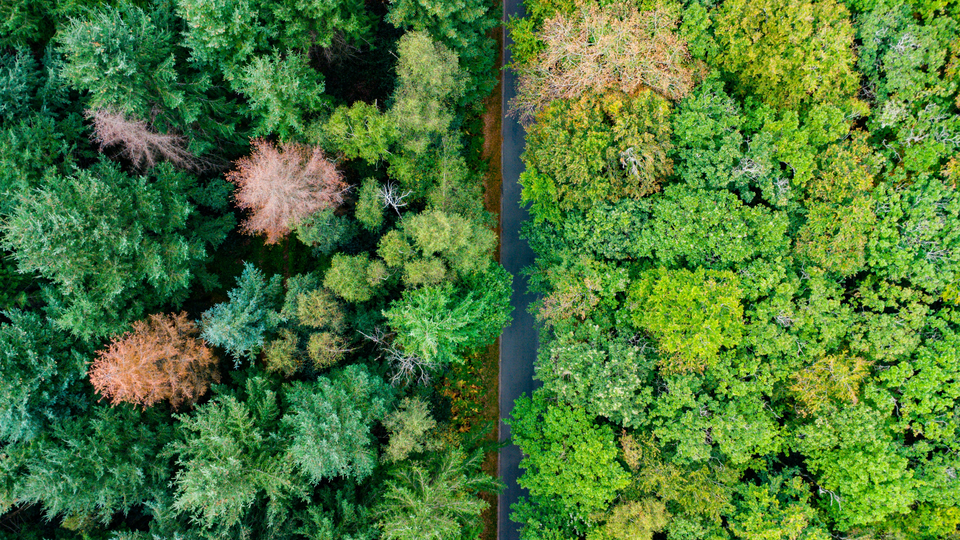 Desarrollo de módulos ERP personalizados apoya transformación ecológica