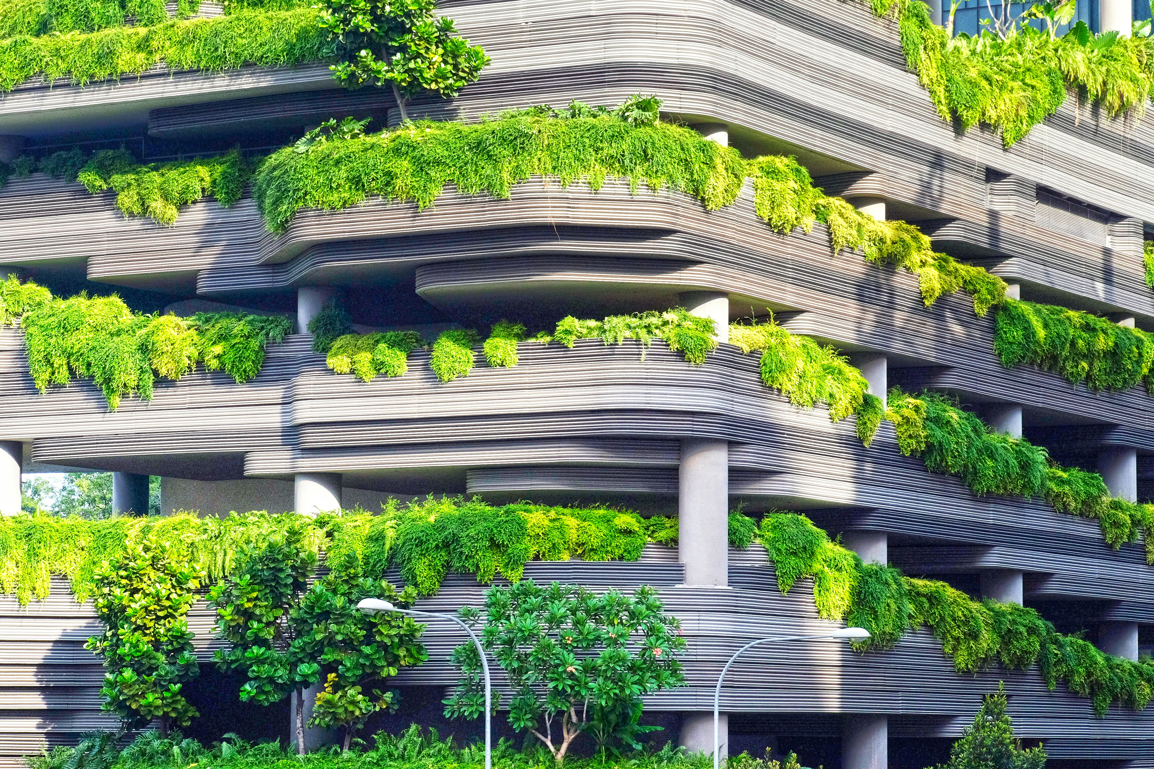 ¿Desarrollo de módulos ERP personalizados apoya la transformación ecológica?