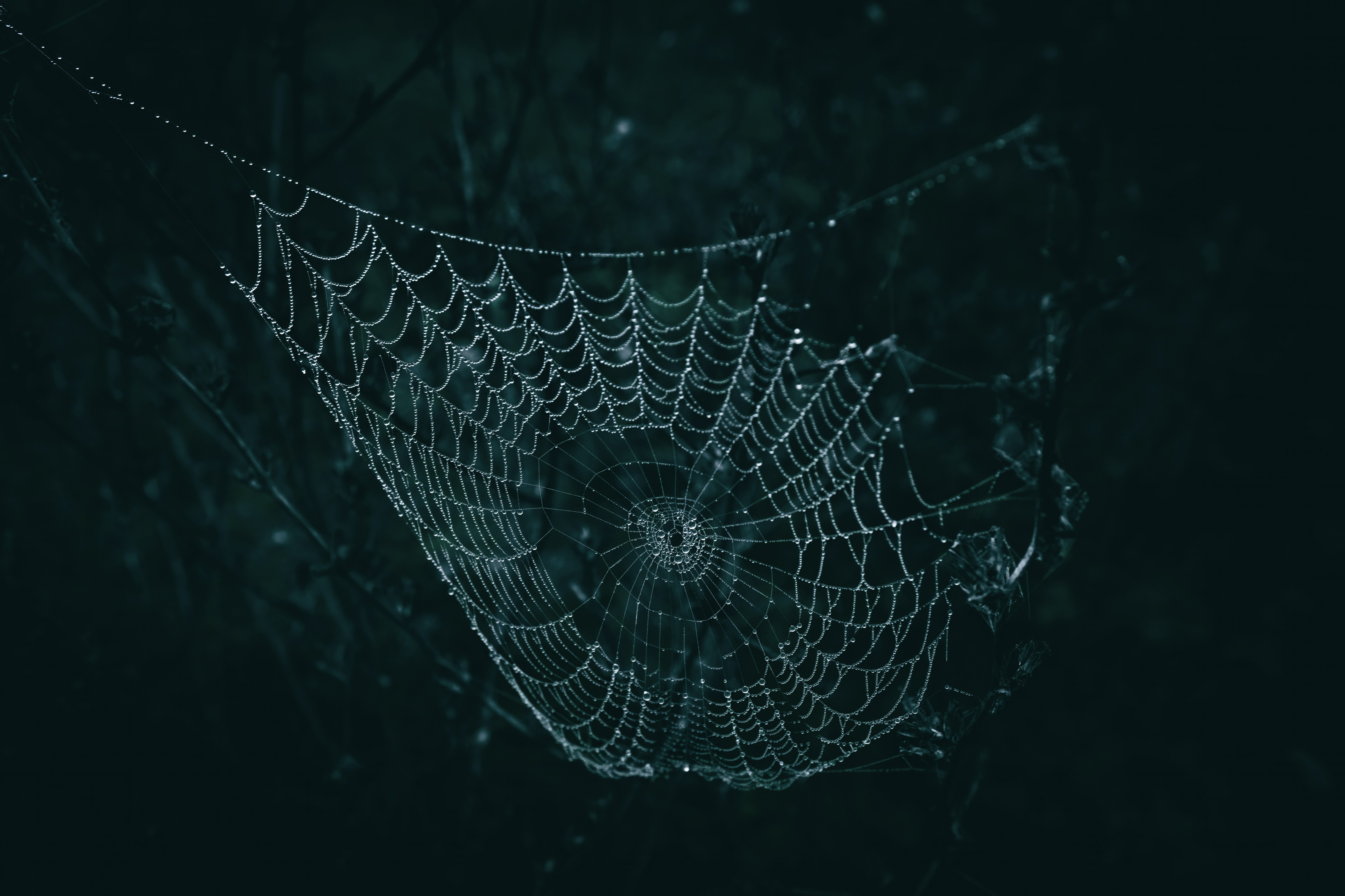 Cuándo debería considerar migrar un ERP heredado a una web personalizada?