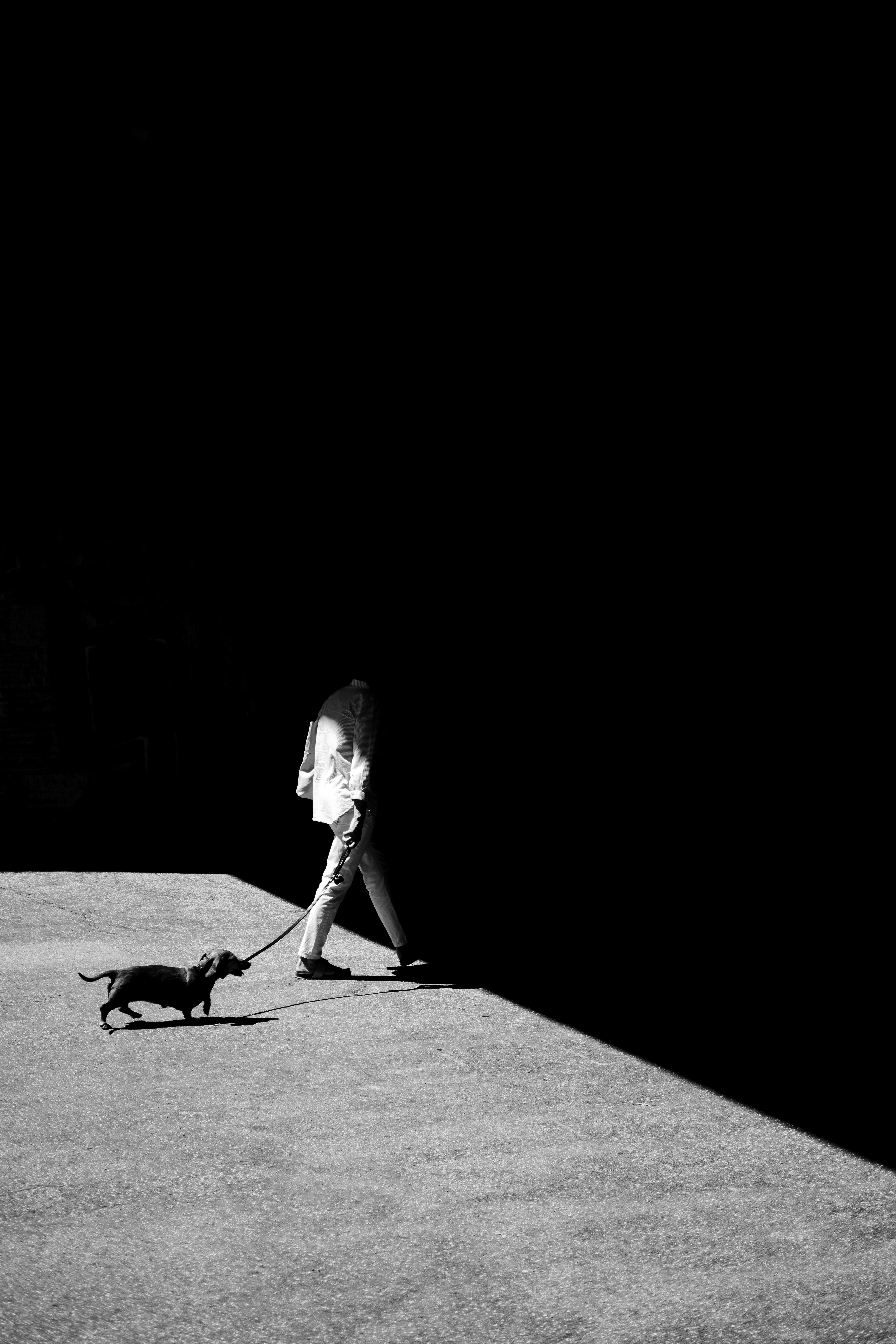 Moonwalk: Diferenciación Inversa-Adelante