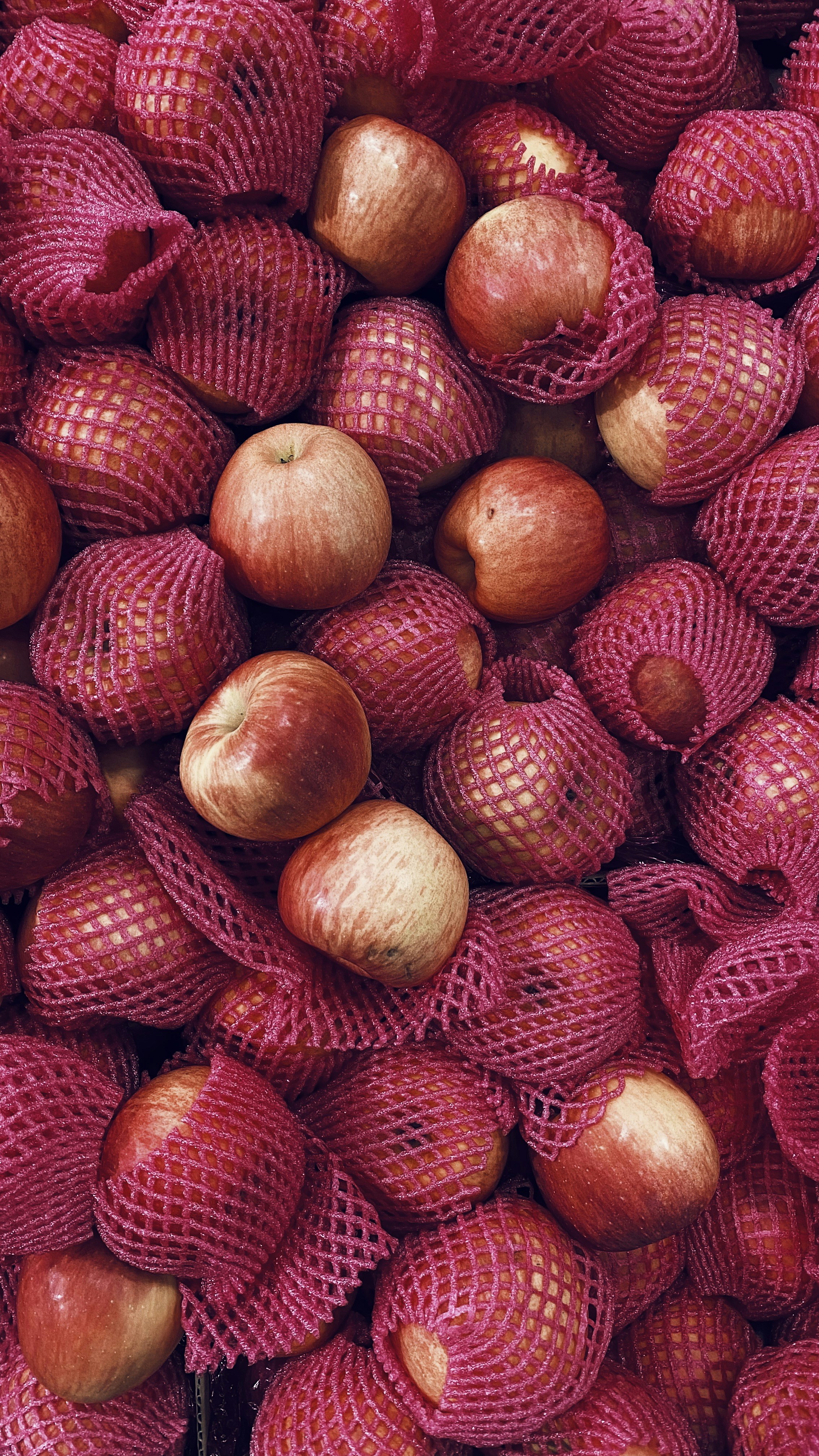 MPNet: Una red de pooling de variedades robusta y eficiente para la decodificación de señales EEG de múltiples ritmos