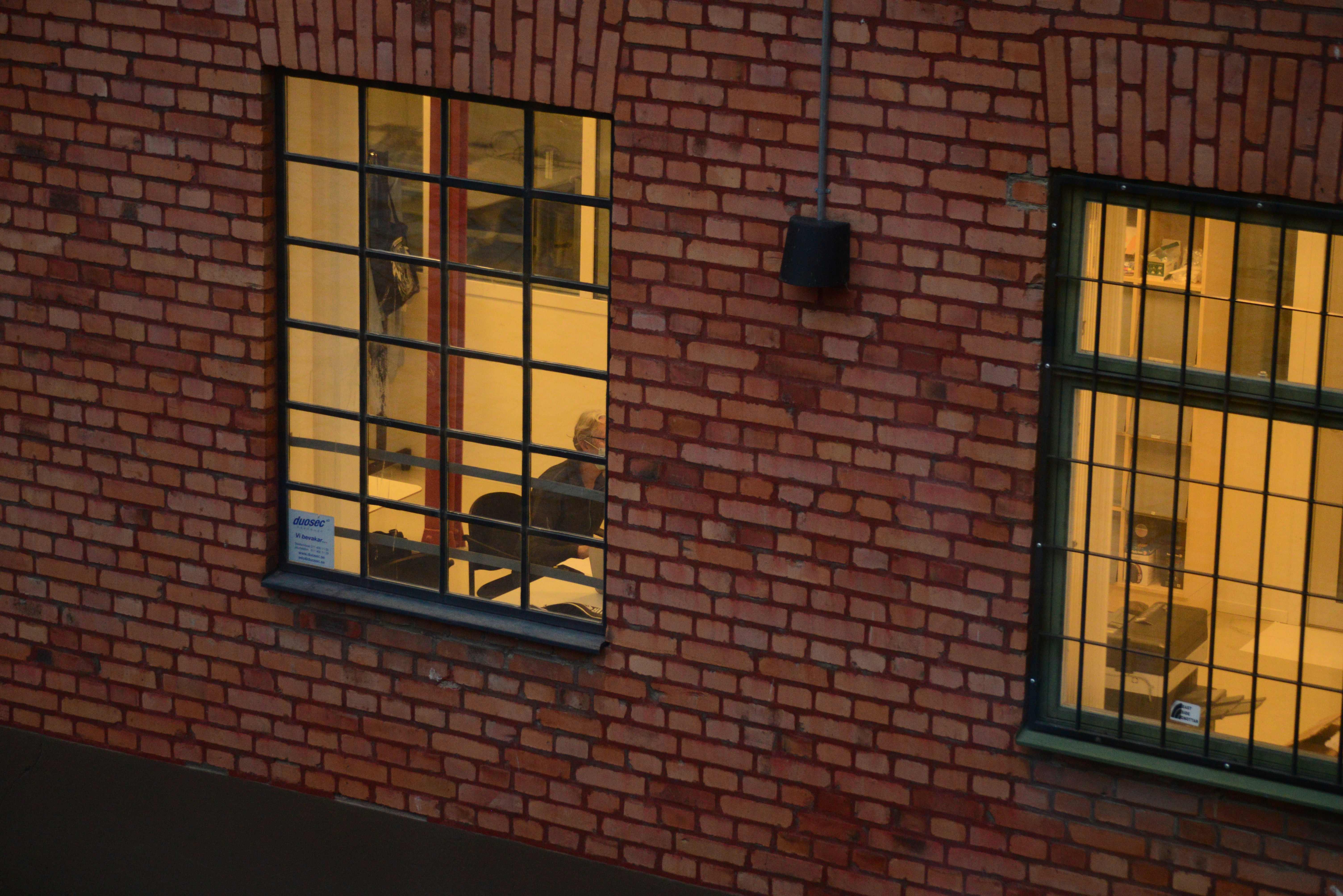 Esquema de Windows y Office pirata se estrella, provoca 22 meses de encarcelamiento para una mujer de Florida