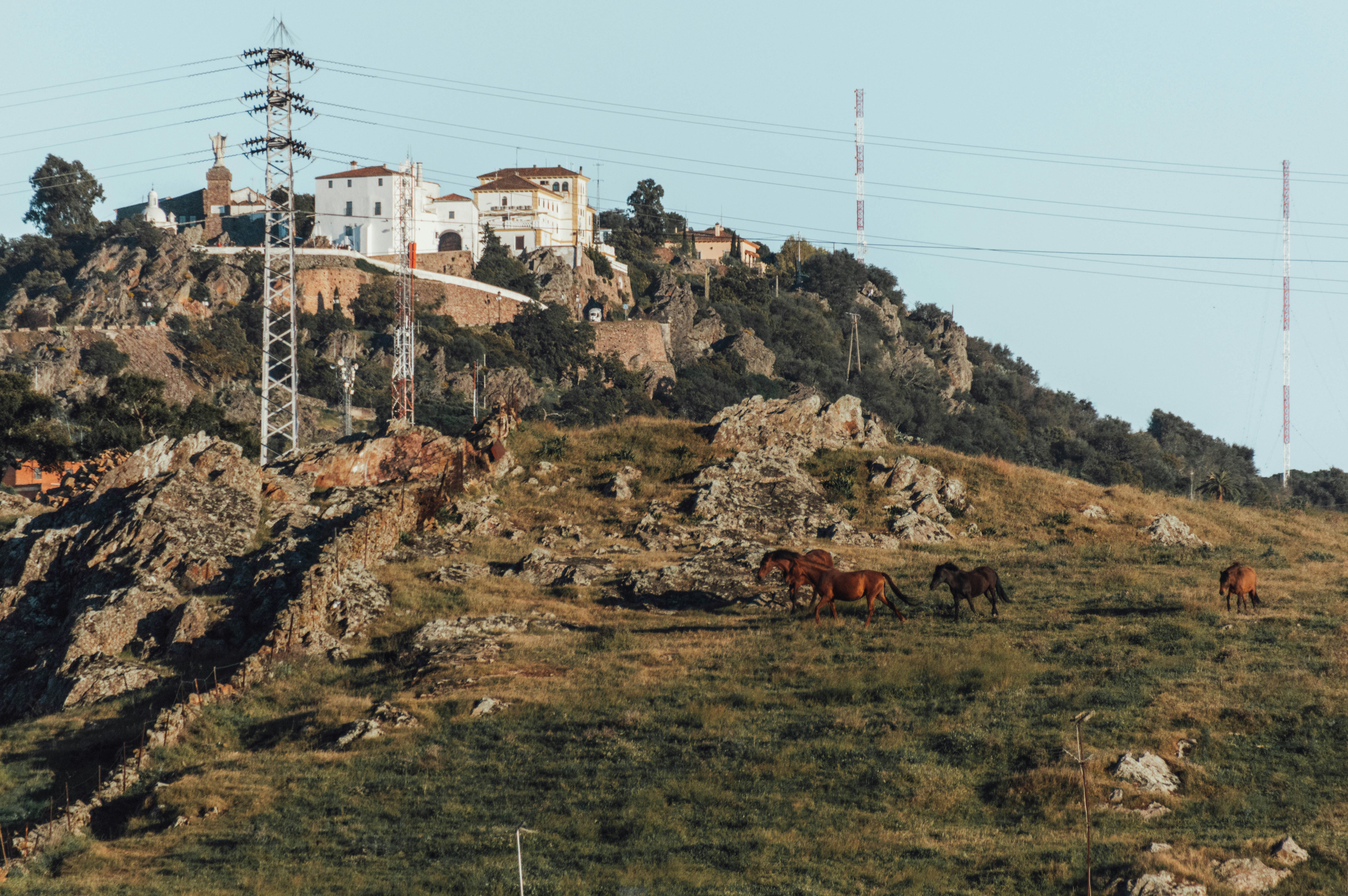 n8n en Vilanova i la Geltrú