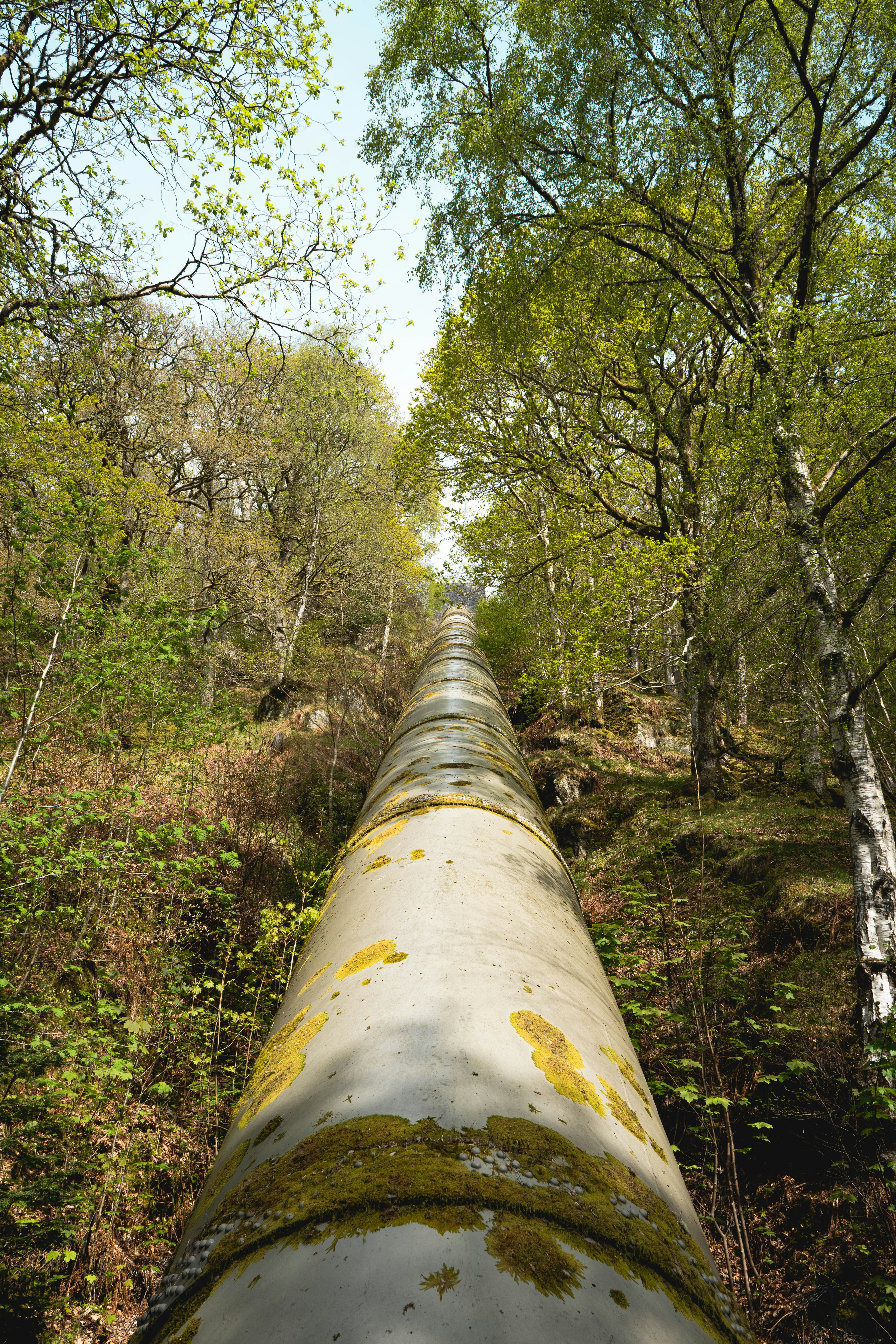 Andres Karpathy Lanza 'nanochat': Un pipeline de chat en estilo ChatGPT mínimo, que puedes entrenar en aproximadamente 4 horas y cuesta alrededor de $100