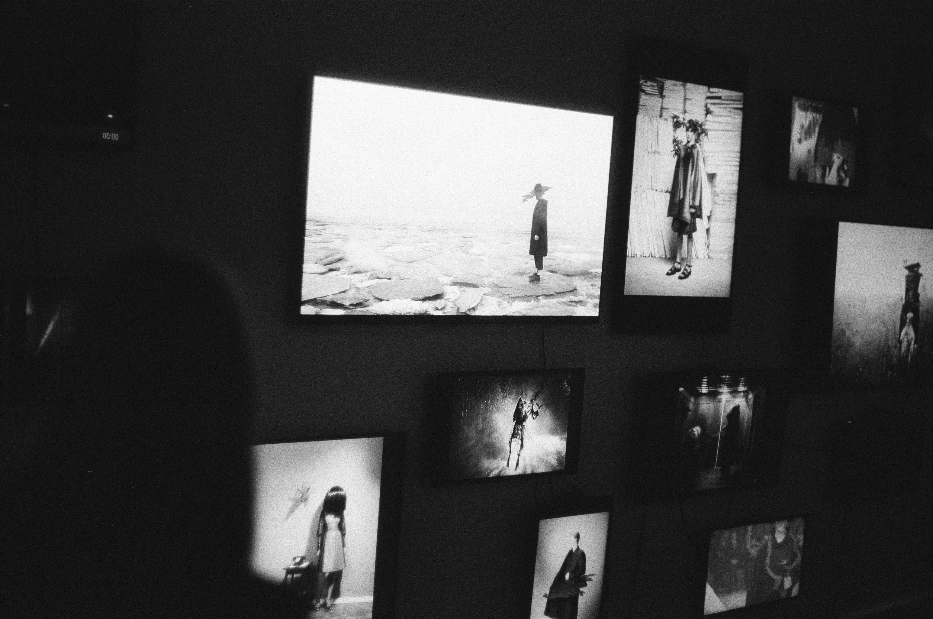 NemoVideo y la Revolución Silenciosa en la Narración Visual