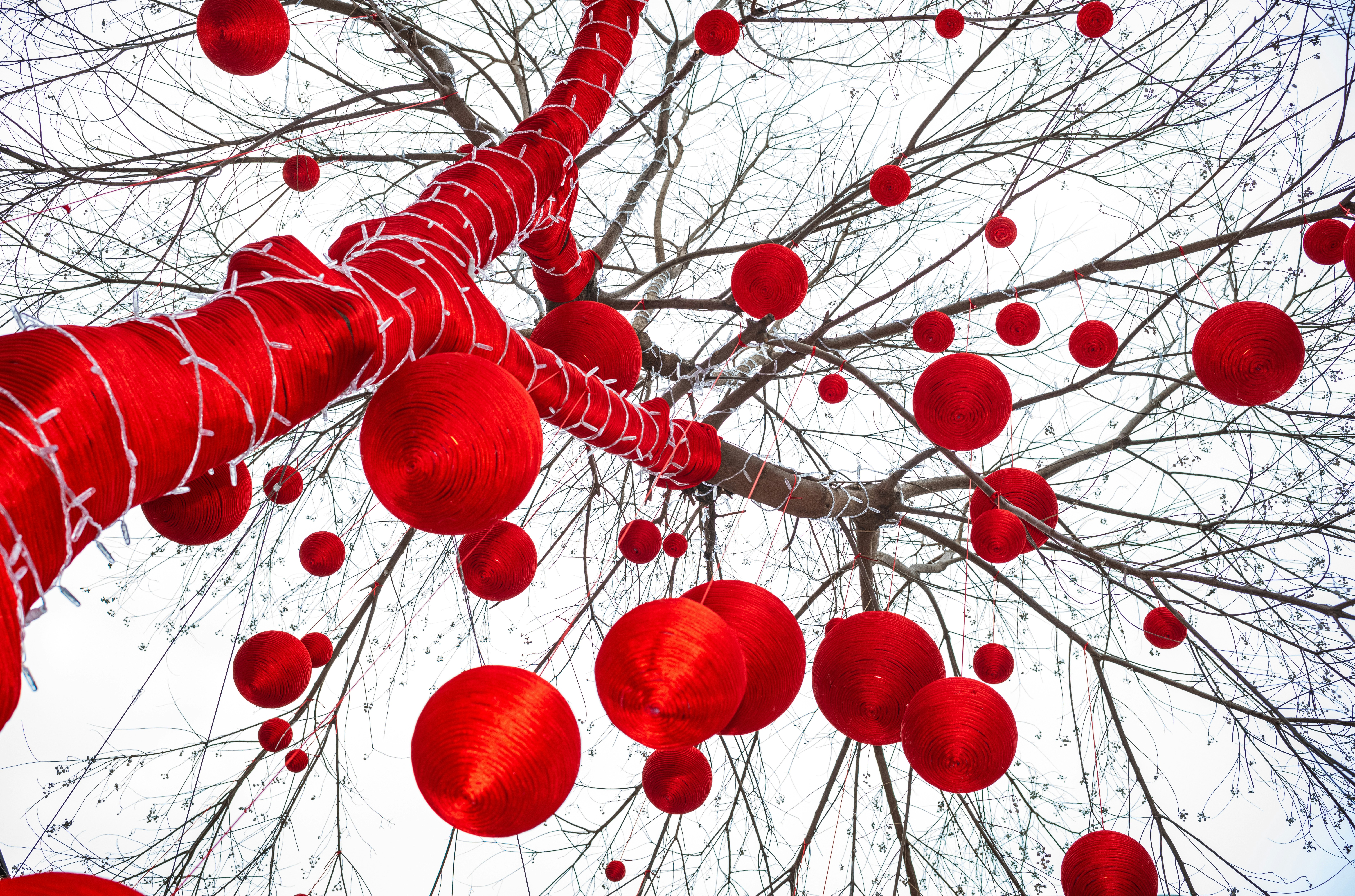 Neuro-Modulación Biointegrada para una Mayor Resiliencia Cognitiva en el Envejecimiento