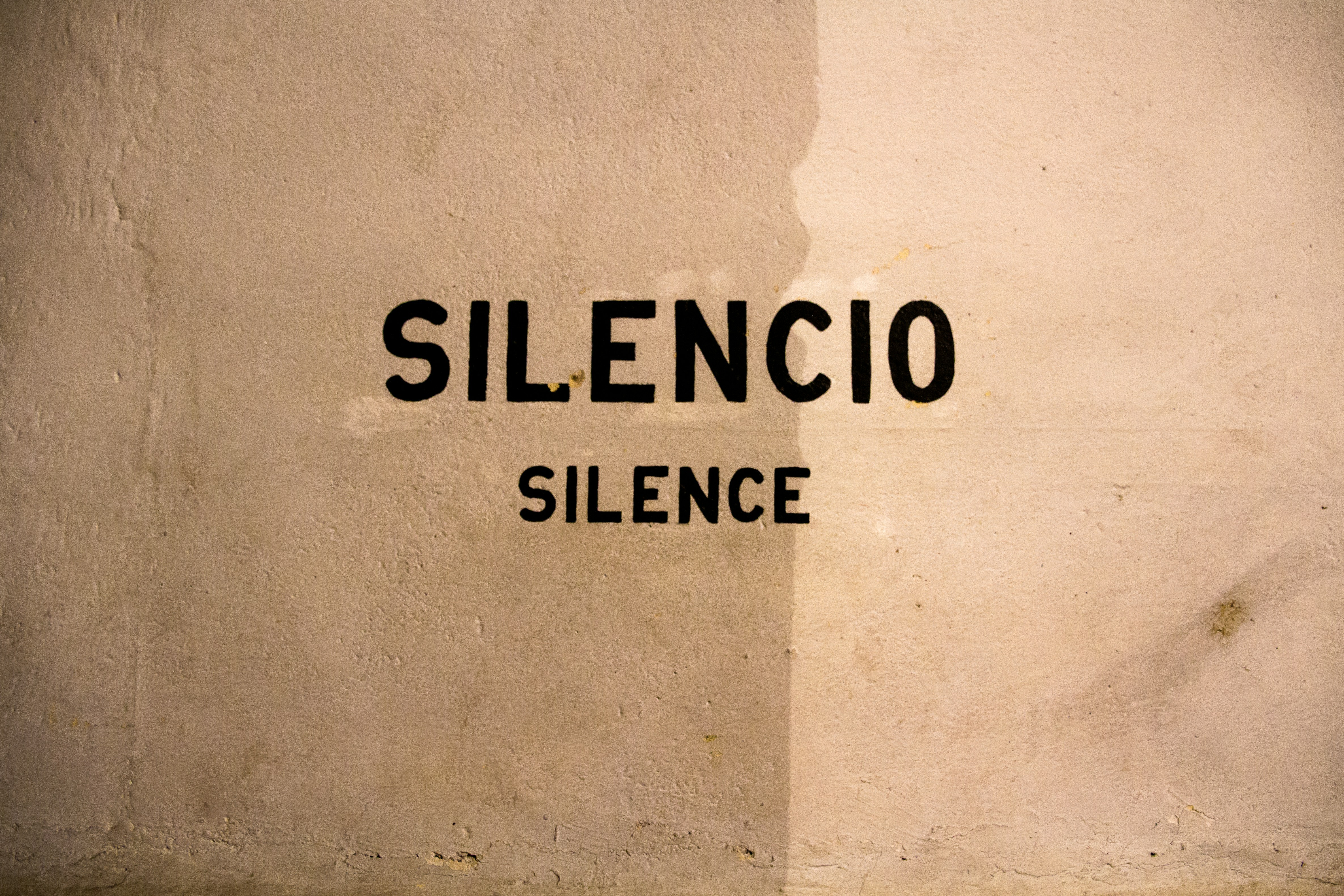 No ciego, sino silenciado: Reequilibrando la visión y el lenguaje mediante el equilibrio adversarial de contra-sentido común