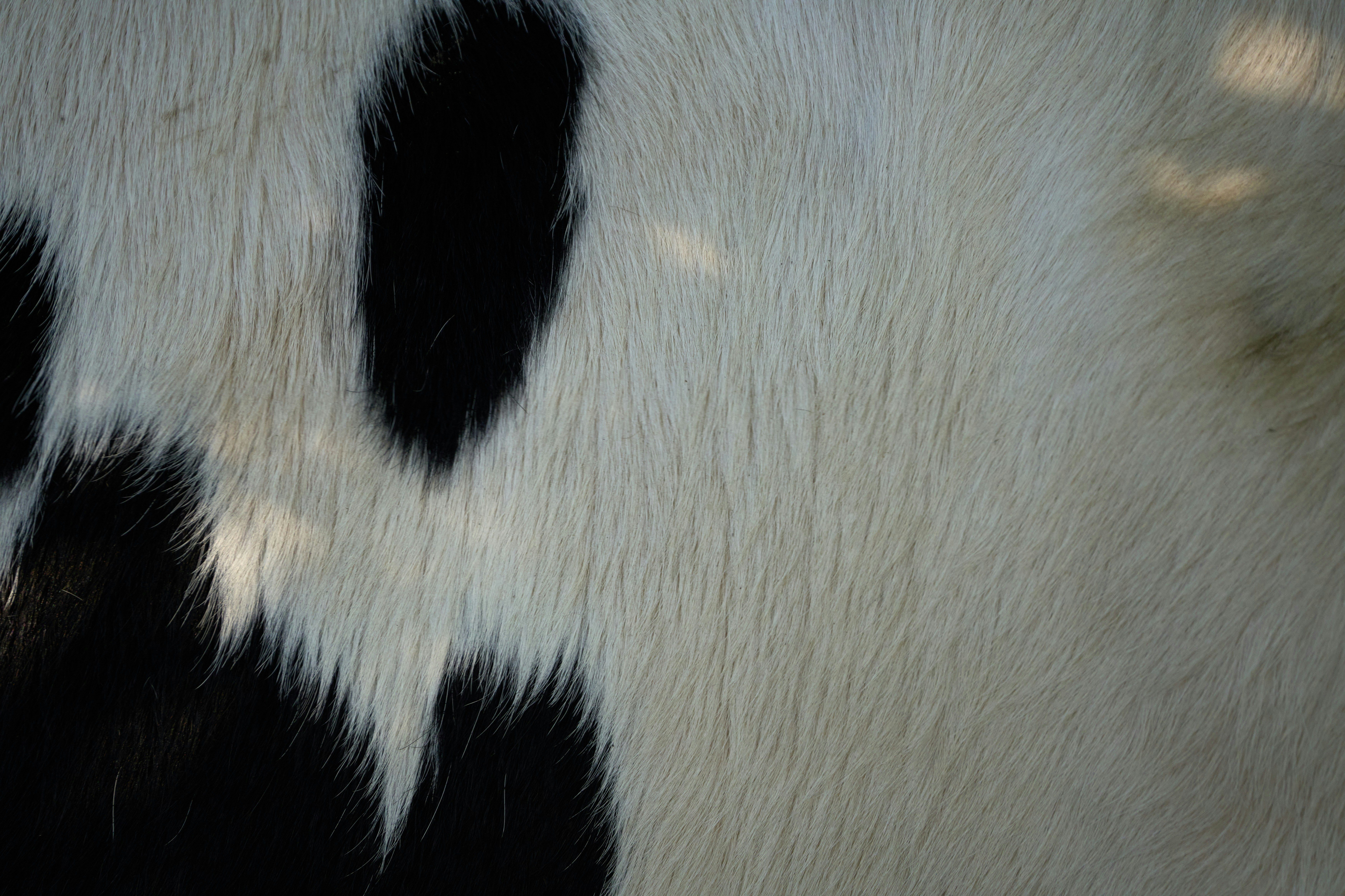 Por qué deberías dejar de escribir bucles en Pandas