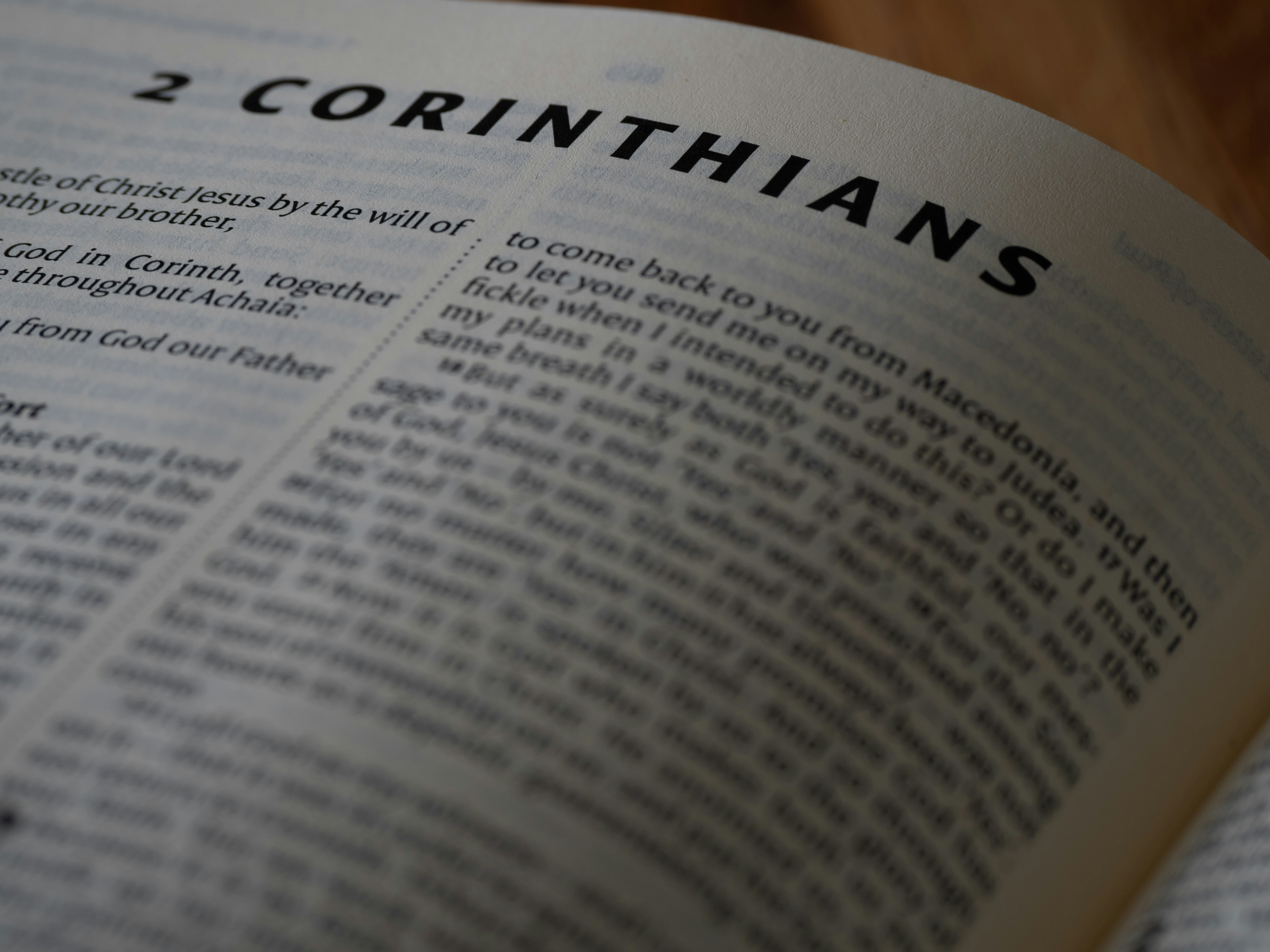 Notas del Autor Metacognitivo: Crónicas Cognitivas de Codie