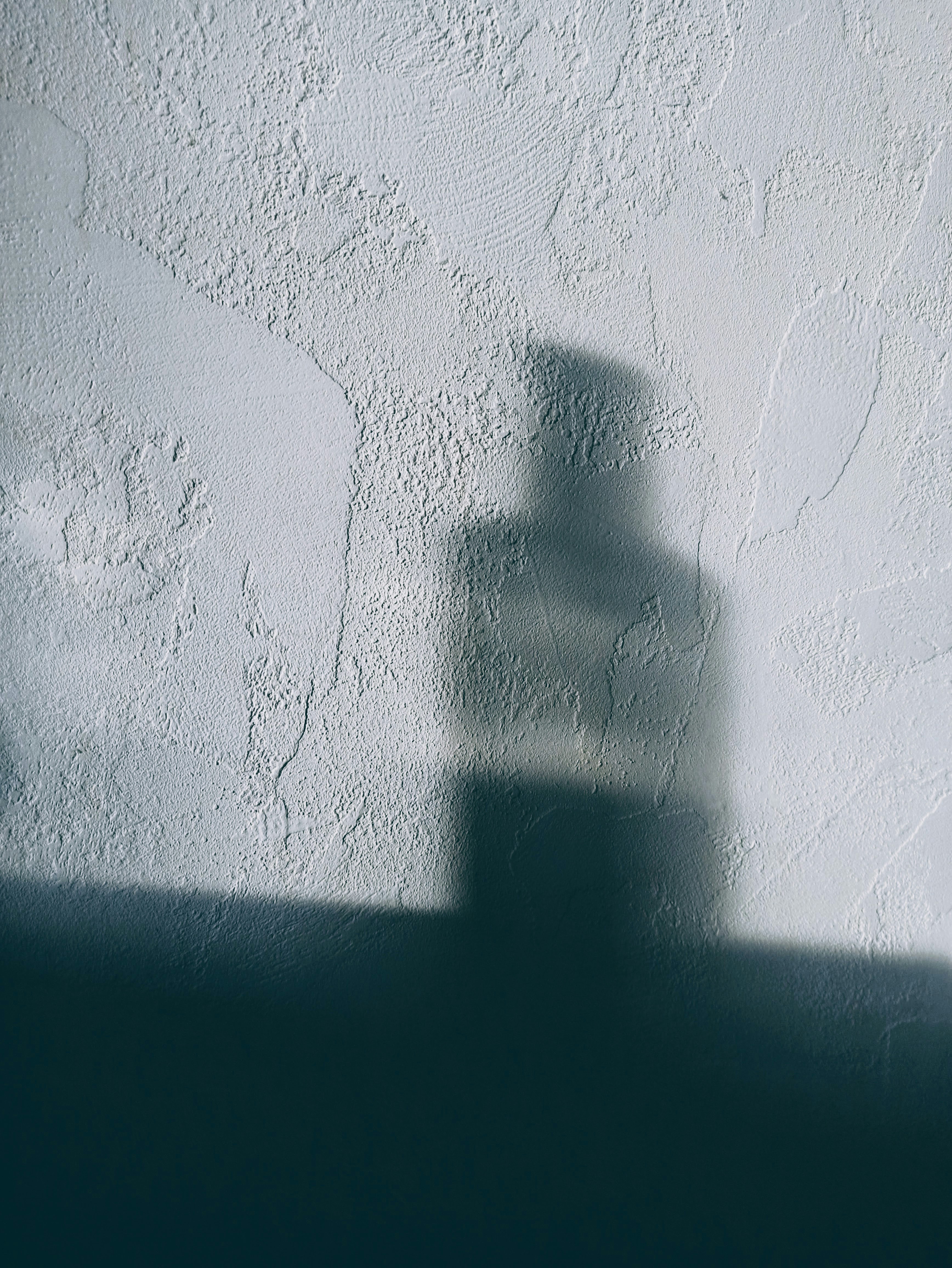 Octubre de Sombras (Edición de Paredes de 2025)