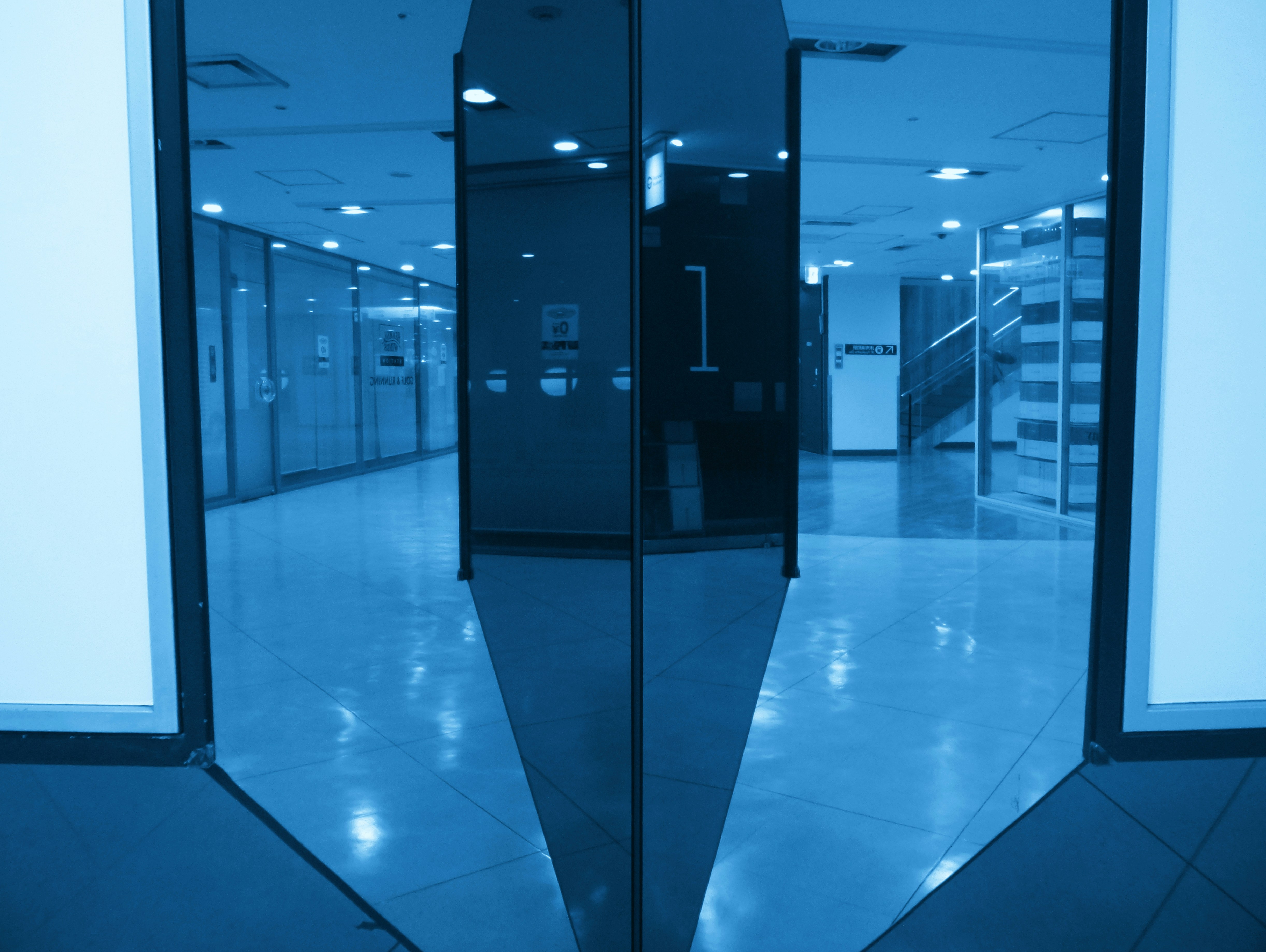 Servicios profesionales de inteligencia empresarial en Leioa