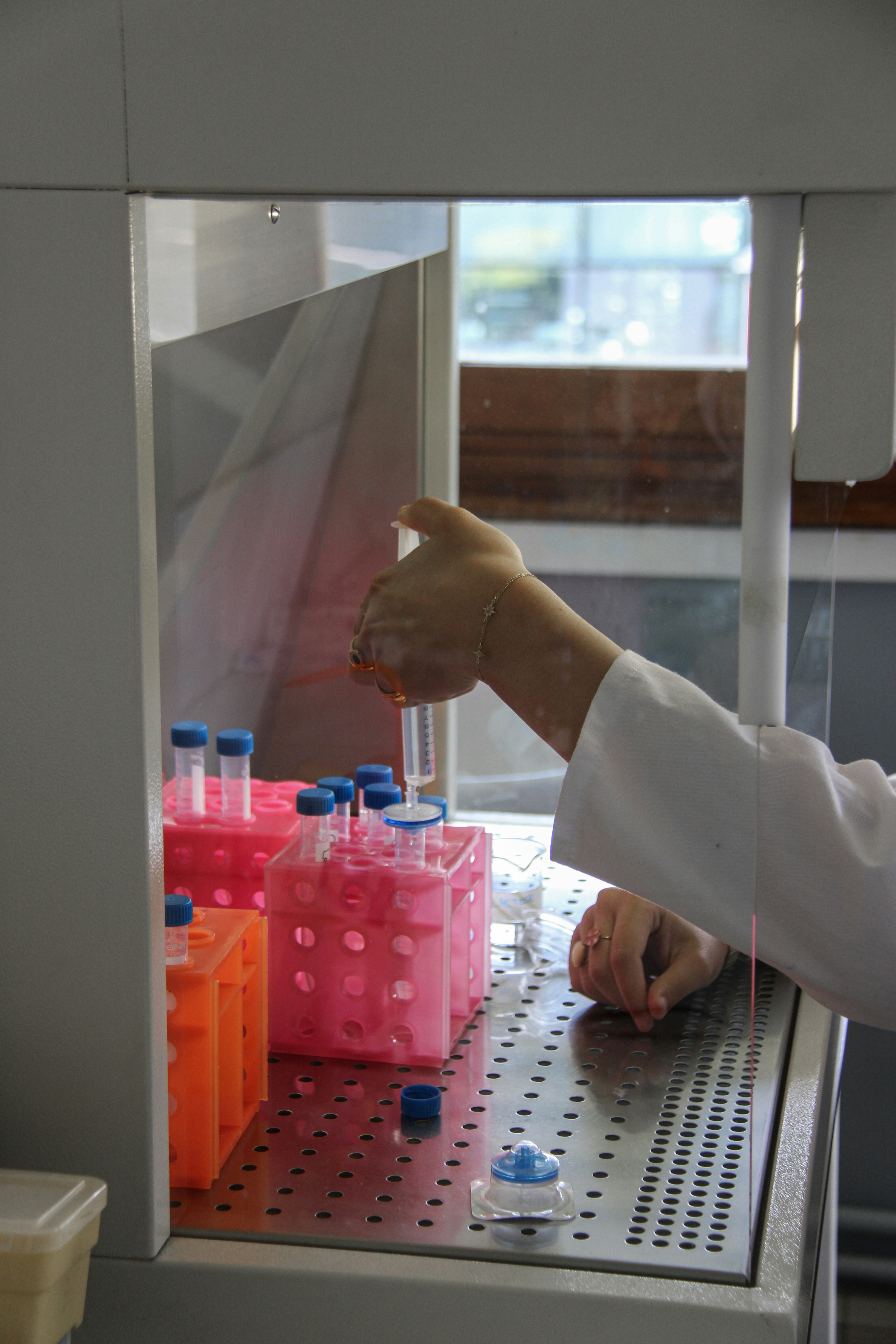 Cerrando la brecha de dominio en imágenes biomédicas mediante muestras de control en contexto