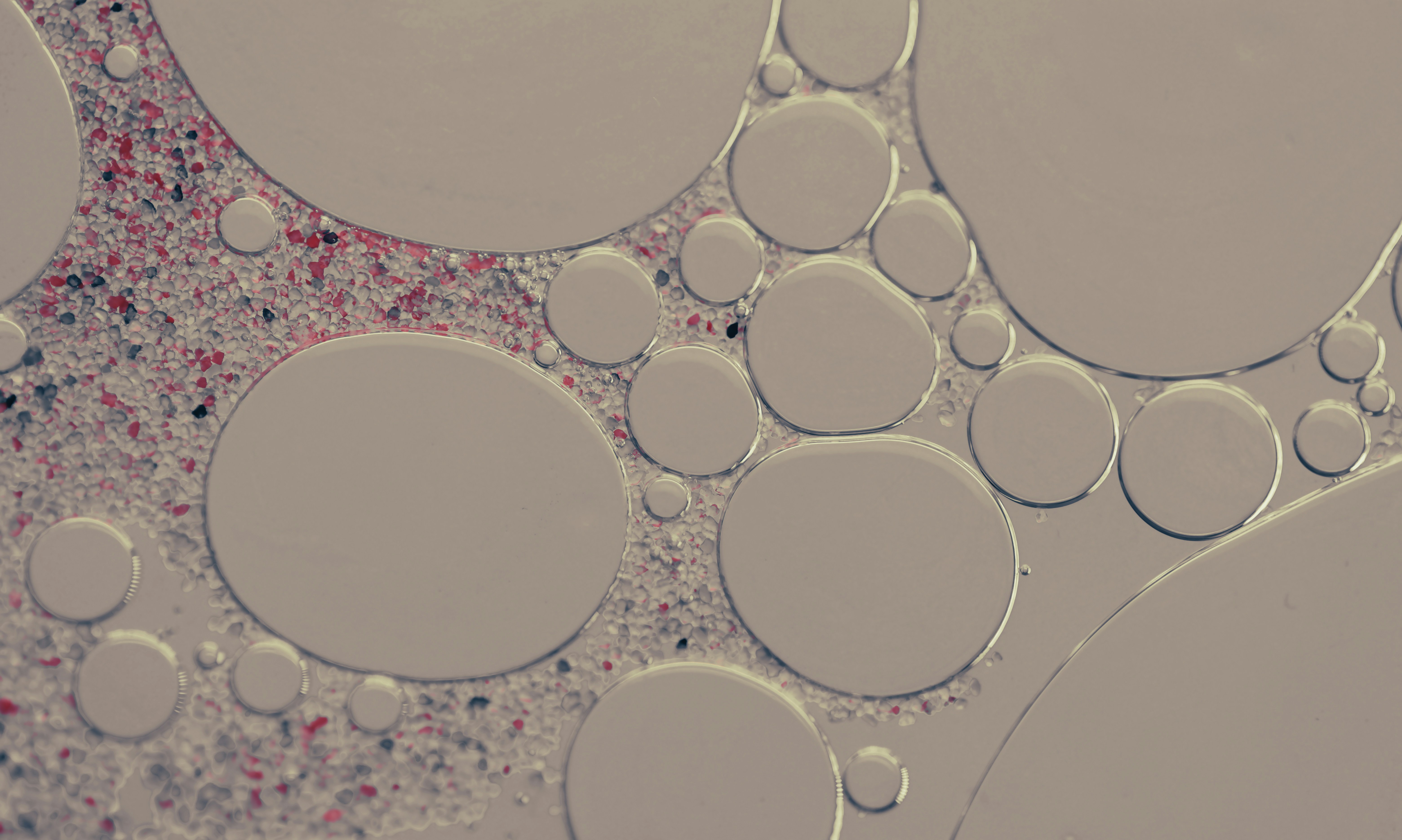 Redirección optimizada del flujo metabólico para una producción mejorada de taxol en *Saccharomyces cerevisiae*
