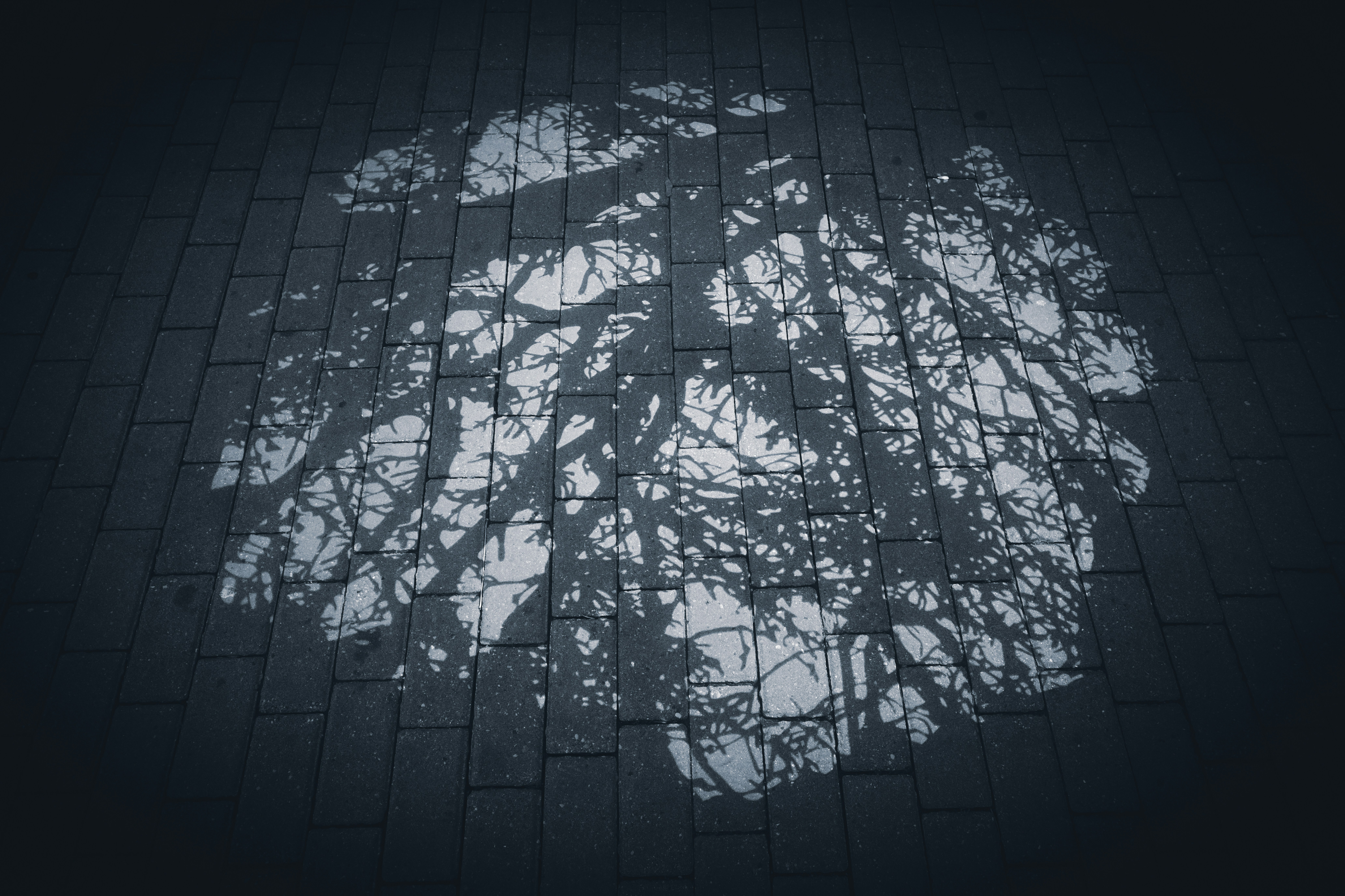 Mejorando agentes web con un árbol de memoria jerárquico