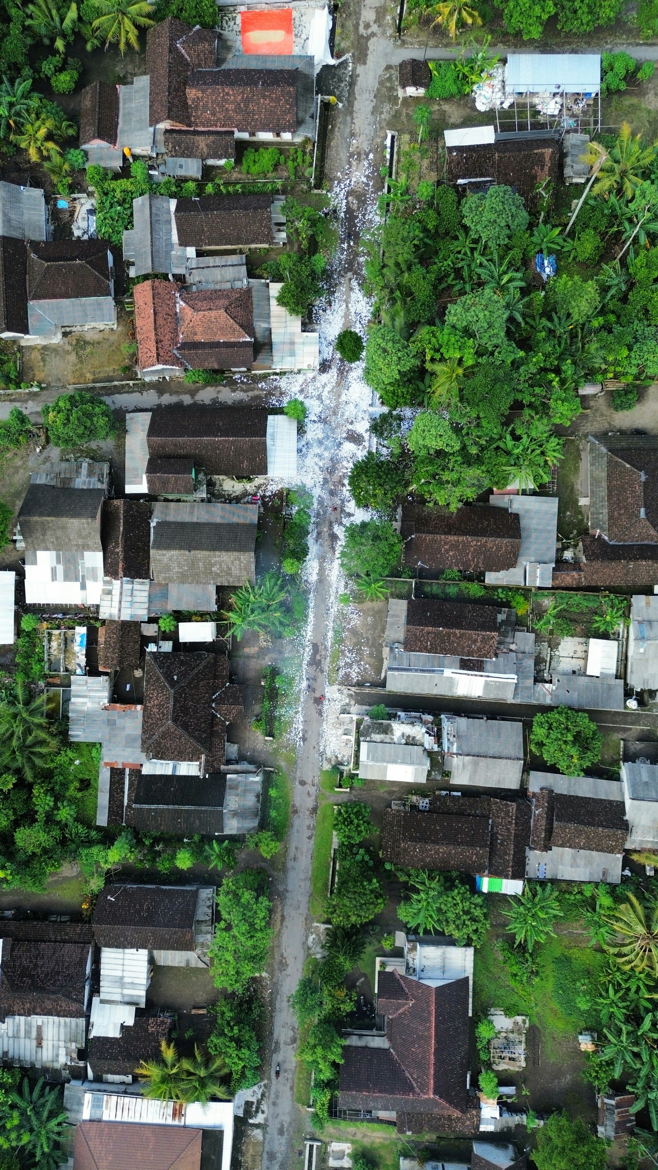 Satélite a calle: Estimador de Impacto de Desastres