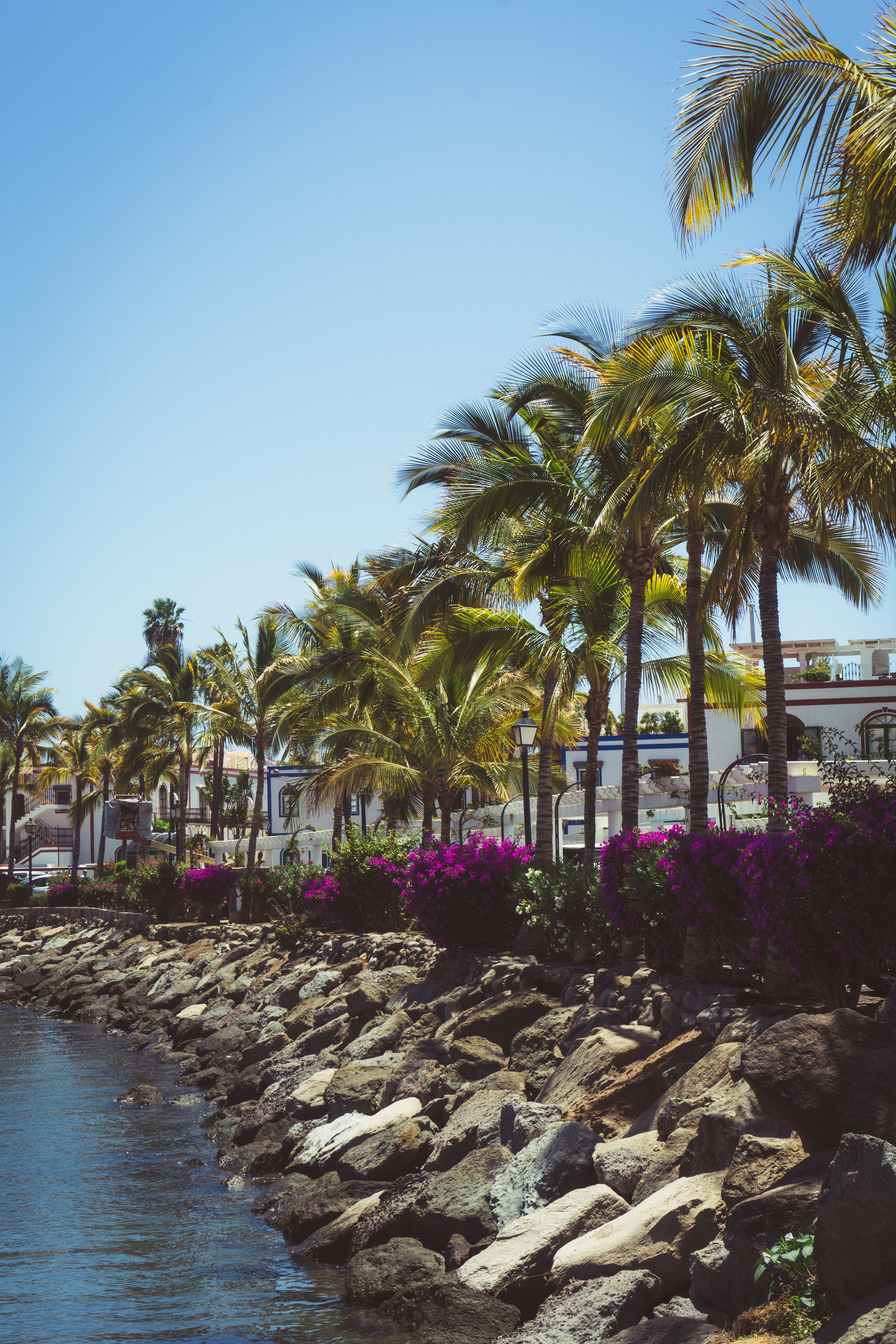 Servicios profesionales de pronóstico de efectivo semanal automatizado en Las Palmas de Gran Canaria