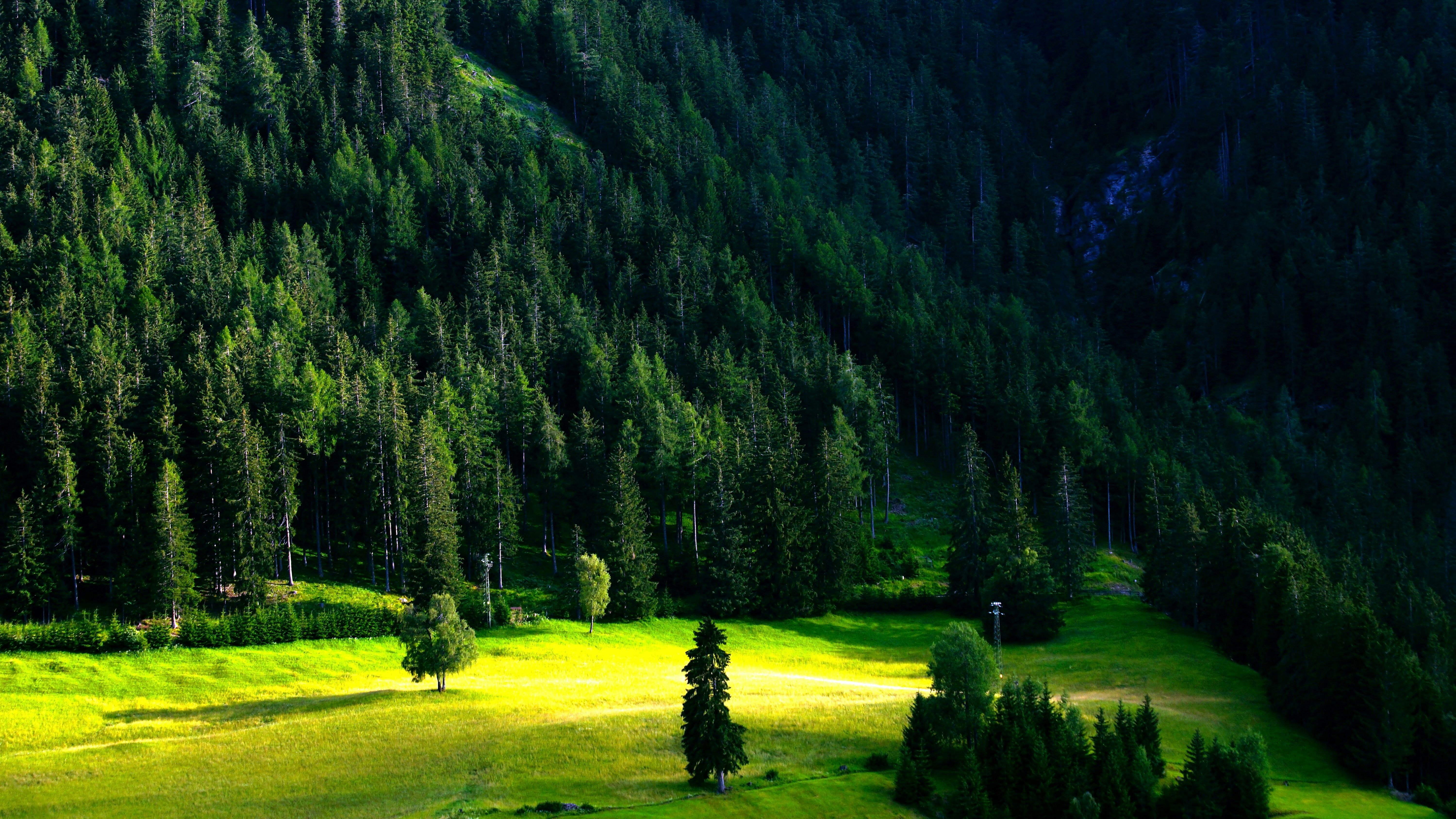 Servicios de sistema de gestión de empresas de paisajismo en Zaragoza