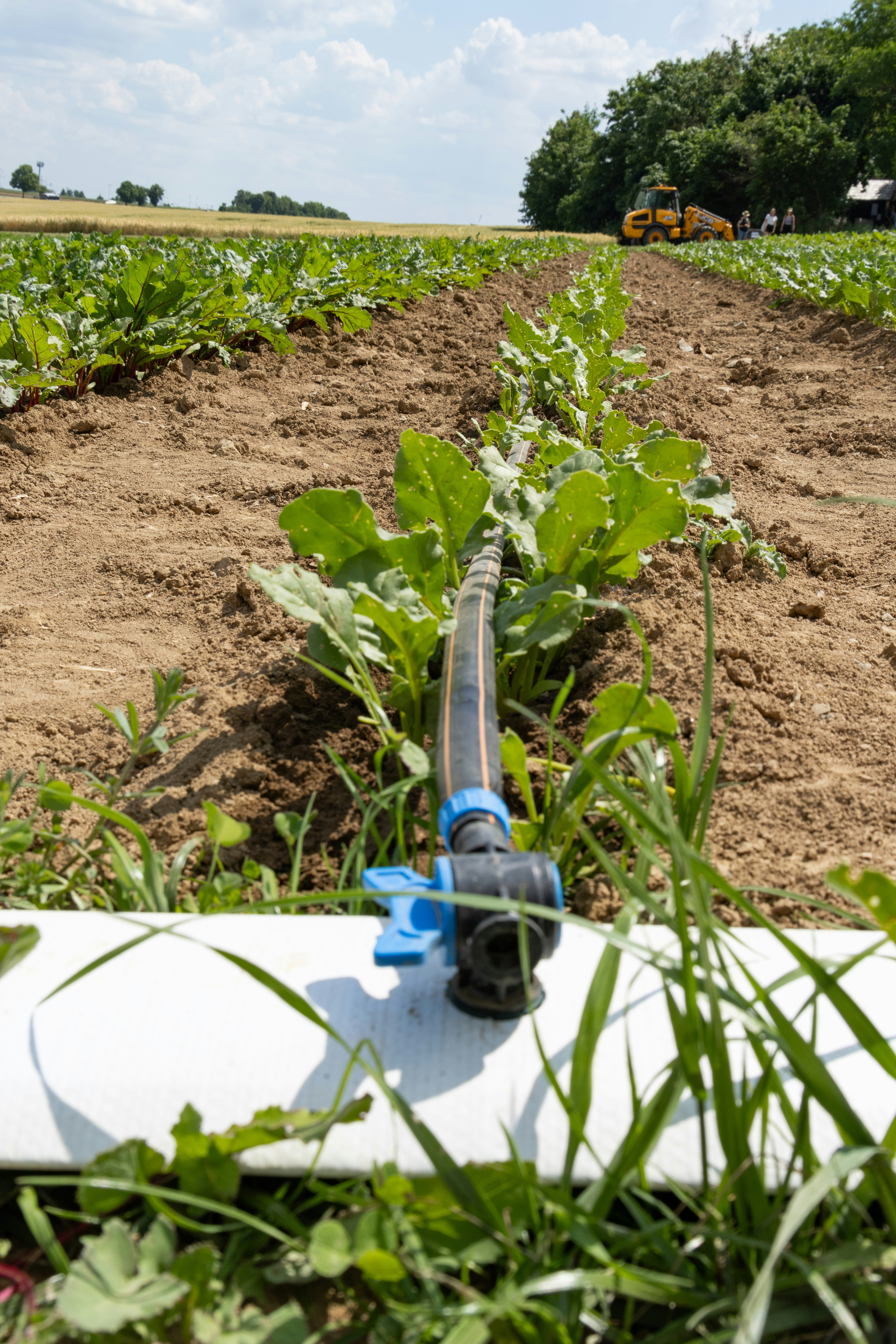 Precisión y estabilidad mejoradas en la medición del pH del suelo agrícola a través de la fusión de sensores espectroscópicos-electroquímicos híbridos