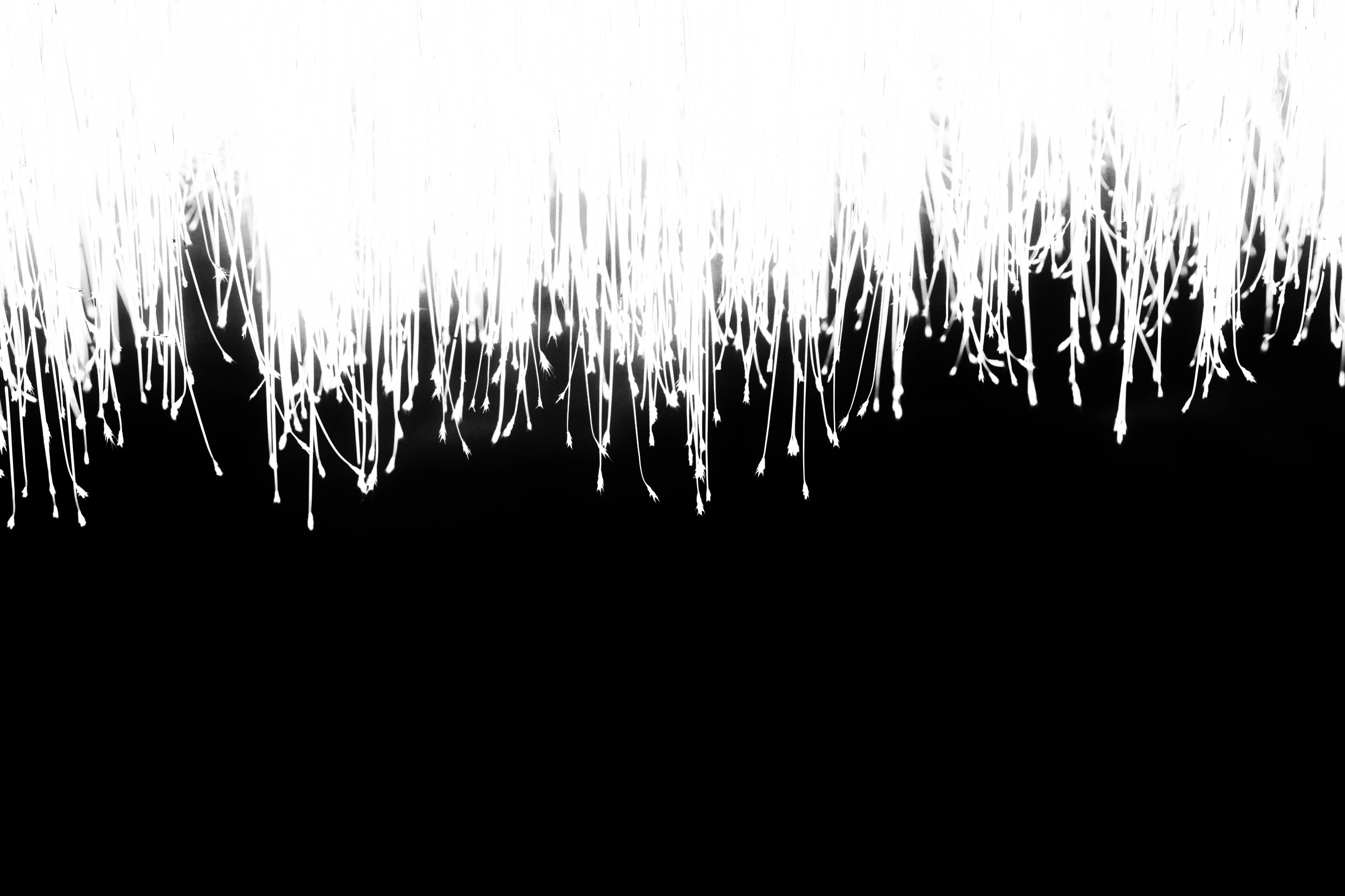 La cola maligna: segregación espectral del ruido de etiqueta en redes sobreparametrizadas