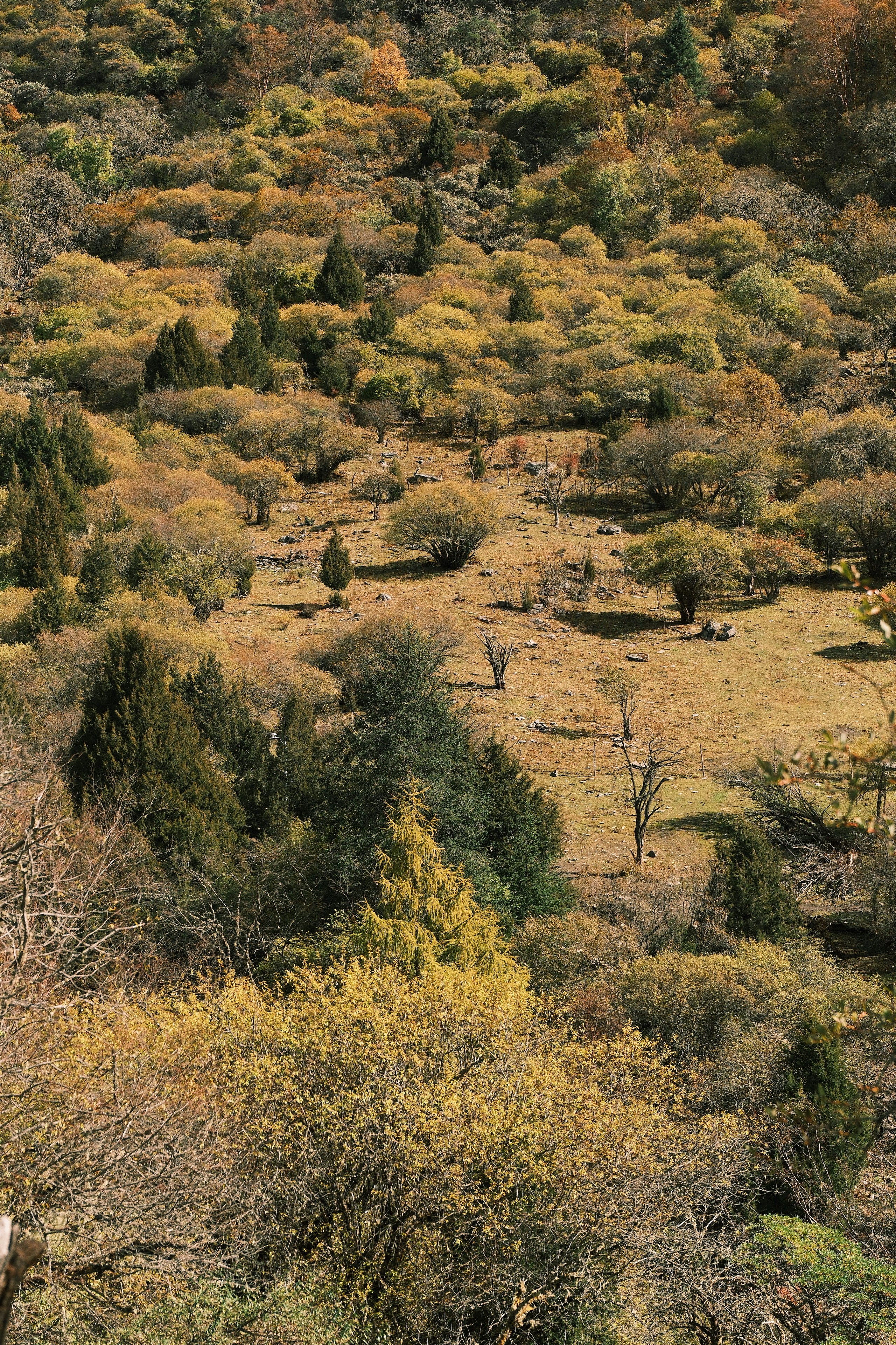 Paisaje de amenazas de npm: Superficie de ataque y mitigaciones