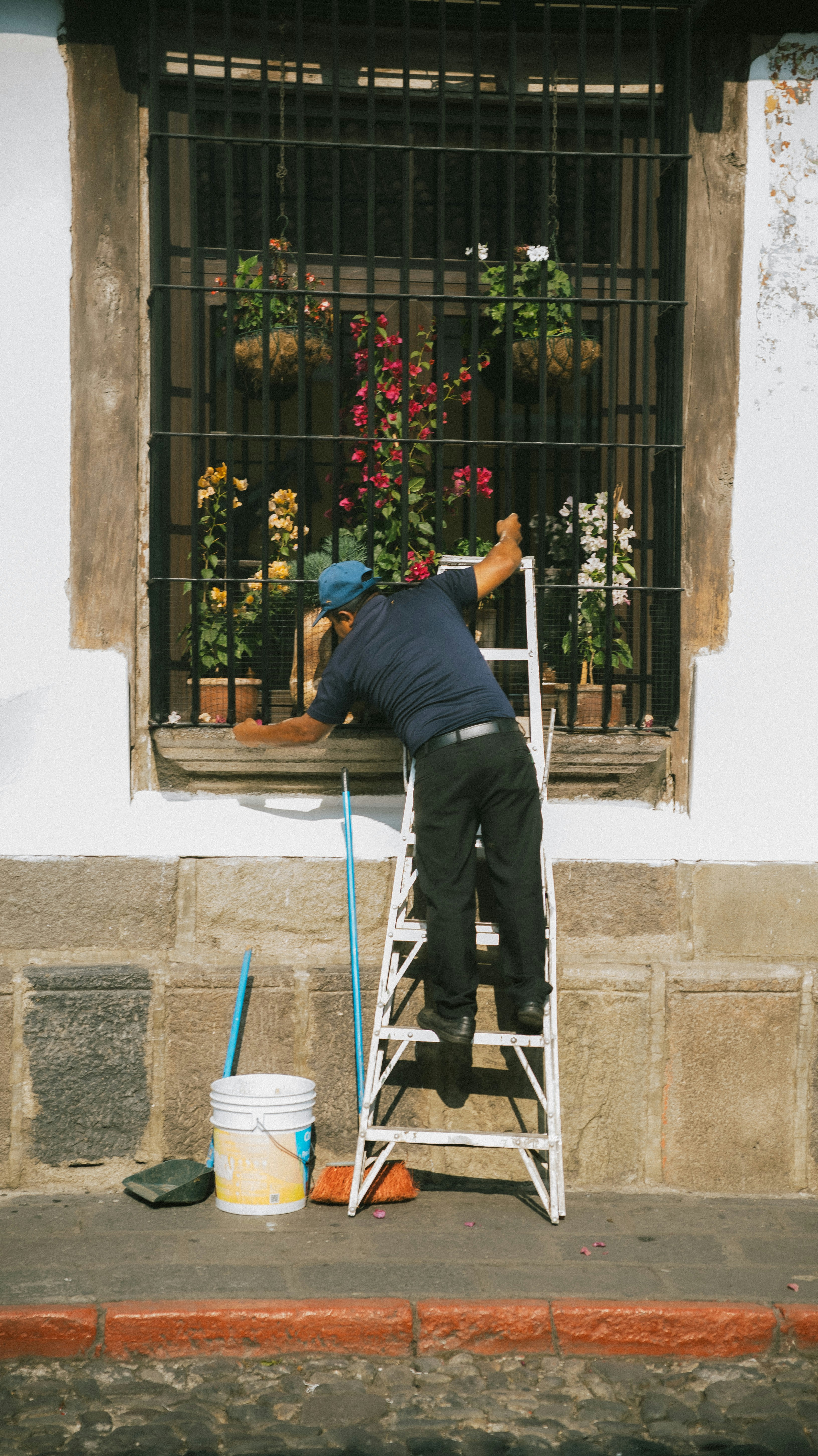 ¿Cómo empiezo con el portal de inquilinos para renovaciones de alquiler?