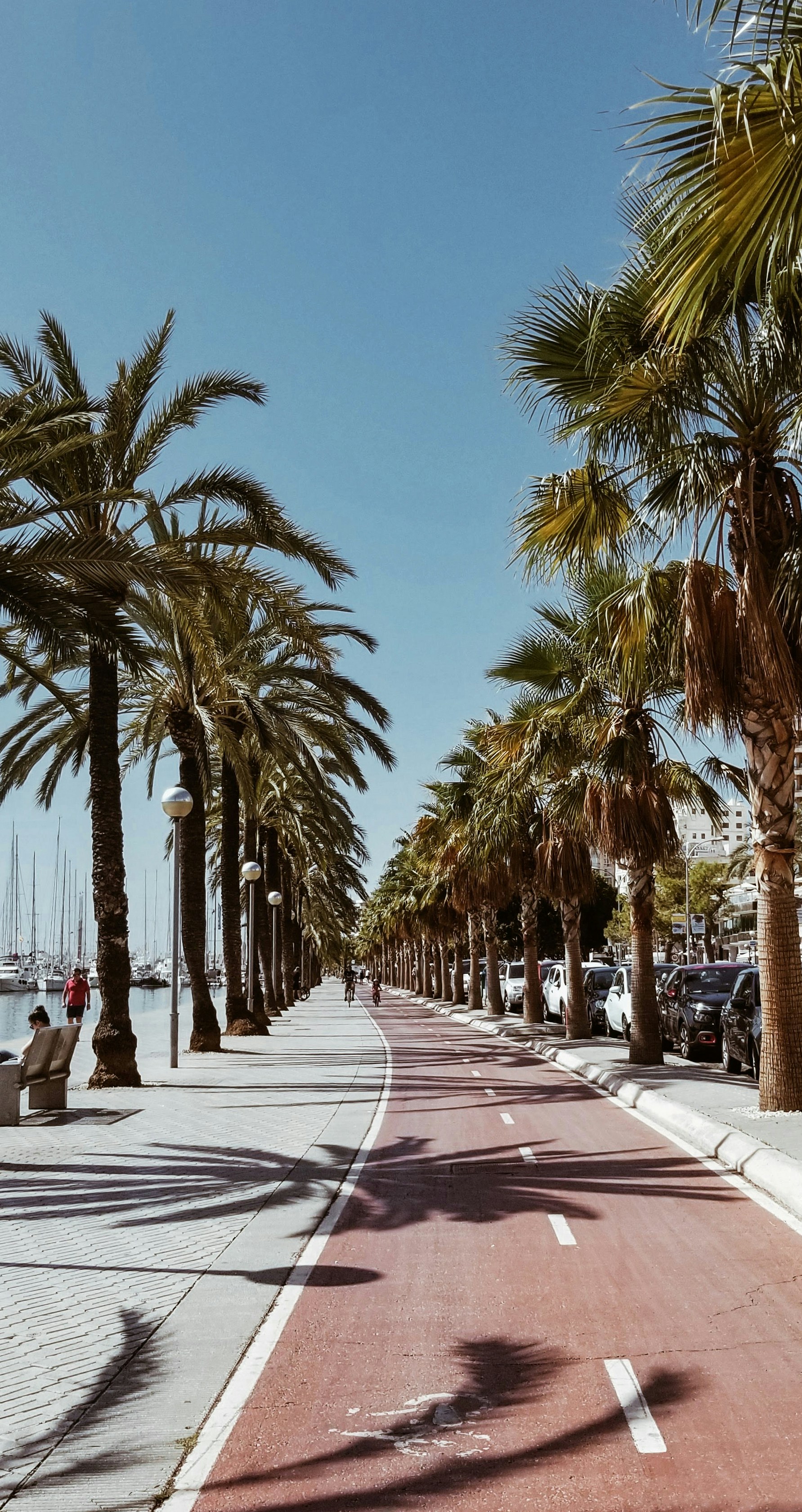 IA profesional para servicios de optimización de rutas en Palma