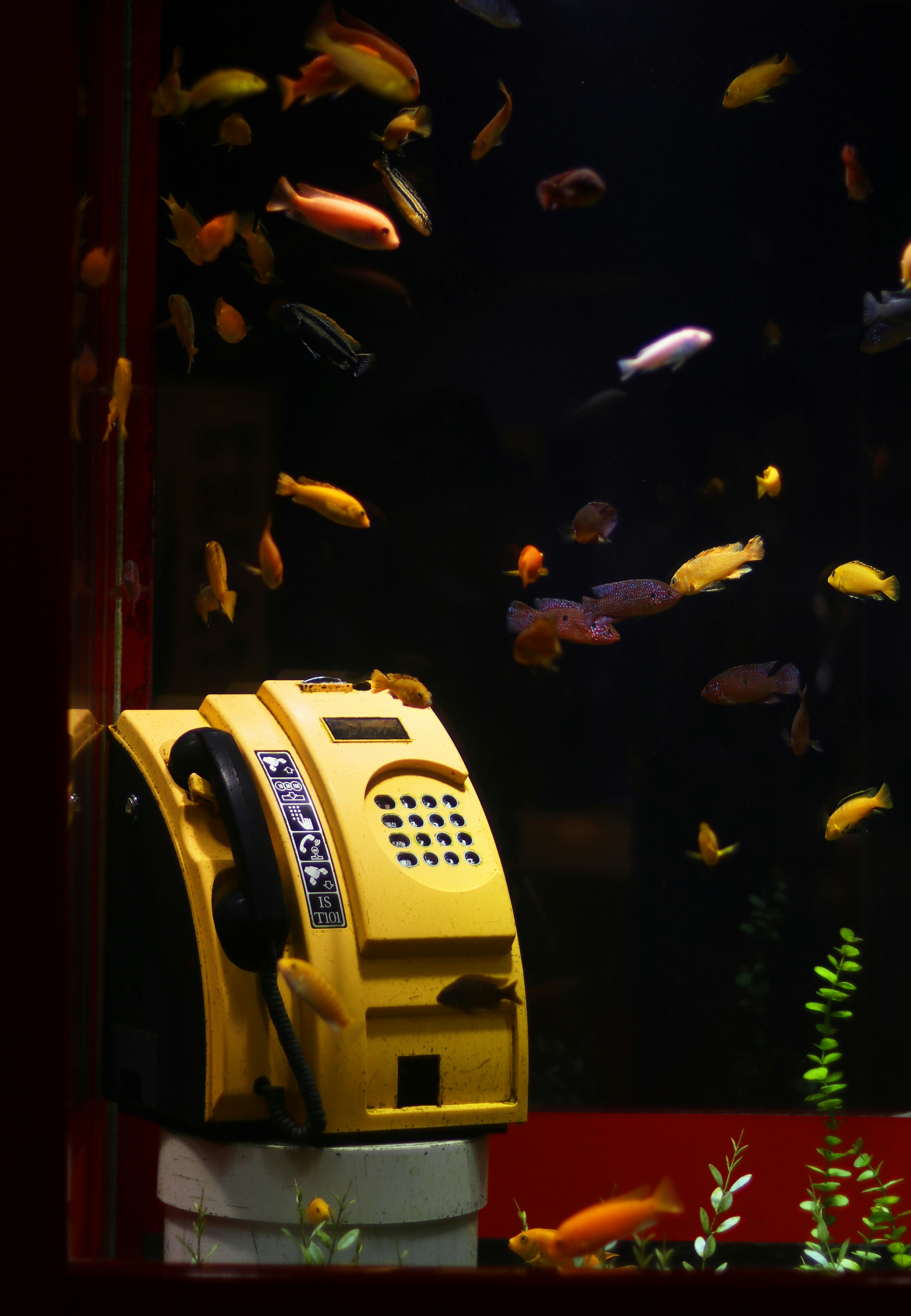 Una inmersión profunda en los costos y retorno de inversión avanzados de la automatización de llamadas entrantes